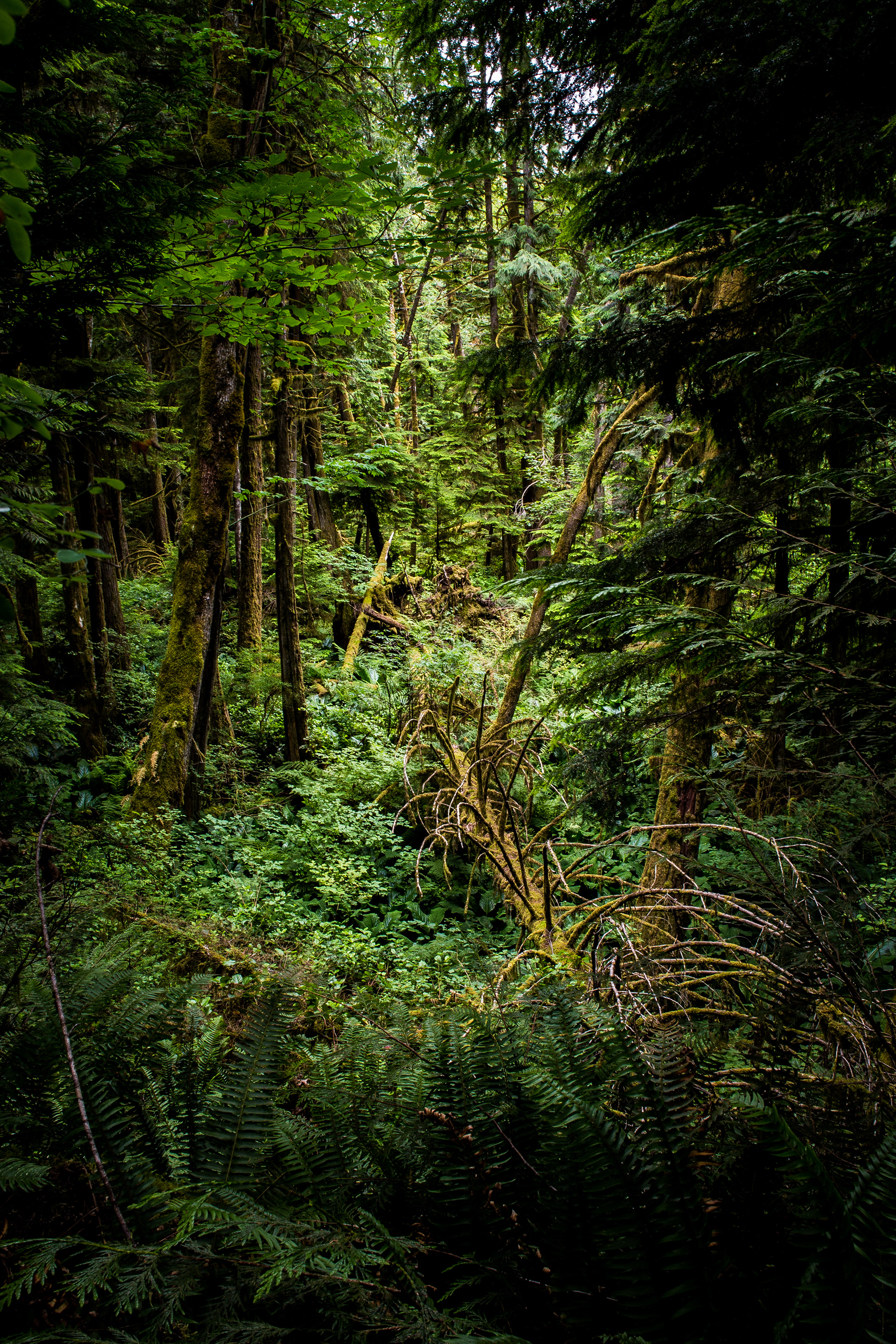 48°45'36.4"N   123°47'47.4"W