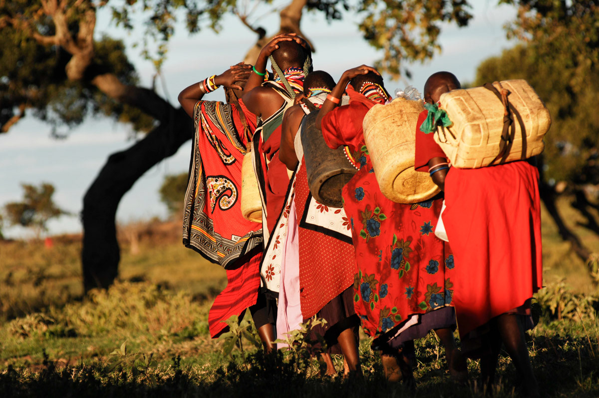 Maasai Women carry heavy loads of river water back to their village in Kenya's Maasai Mara National Reserve.