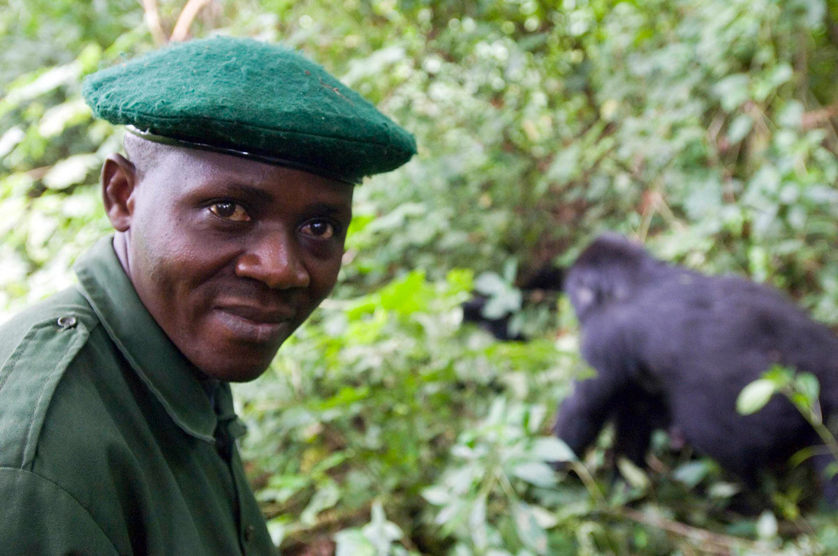 Augustin Kambale, 31, is a wildlife ranger caring for the last 100 mountain gorillas still alive in the Democratic Republic of Congo after years of fighting. He works in the southern.sector of Africa’s oldest reserve, the 8,000 sq km Virunga National Park, in eastern DR Congo.