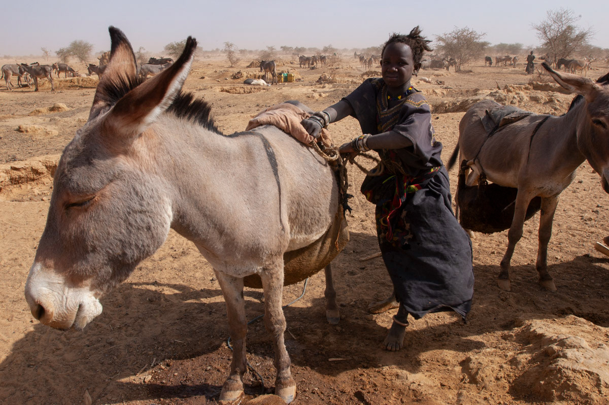 A young girl from Niger's slave caste in west Niger ties a heavy goat-skin water pouch to the donkey.
