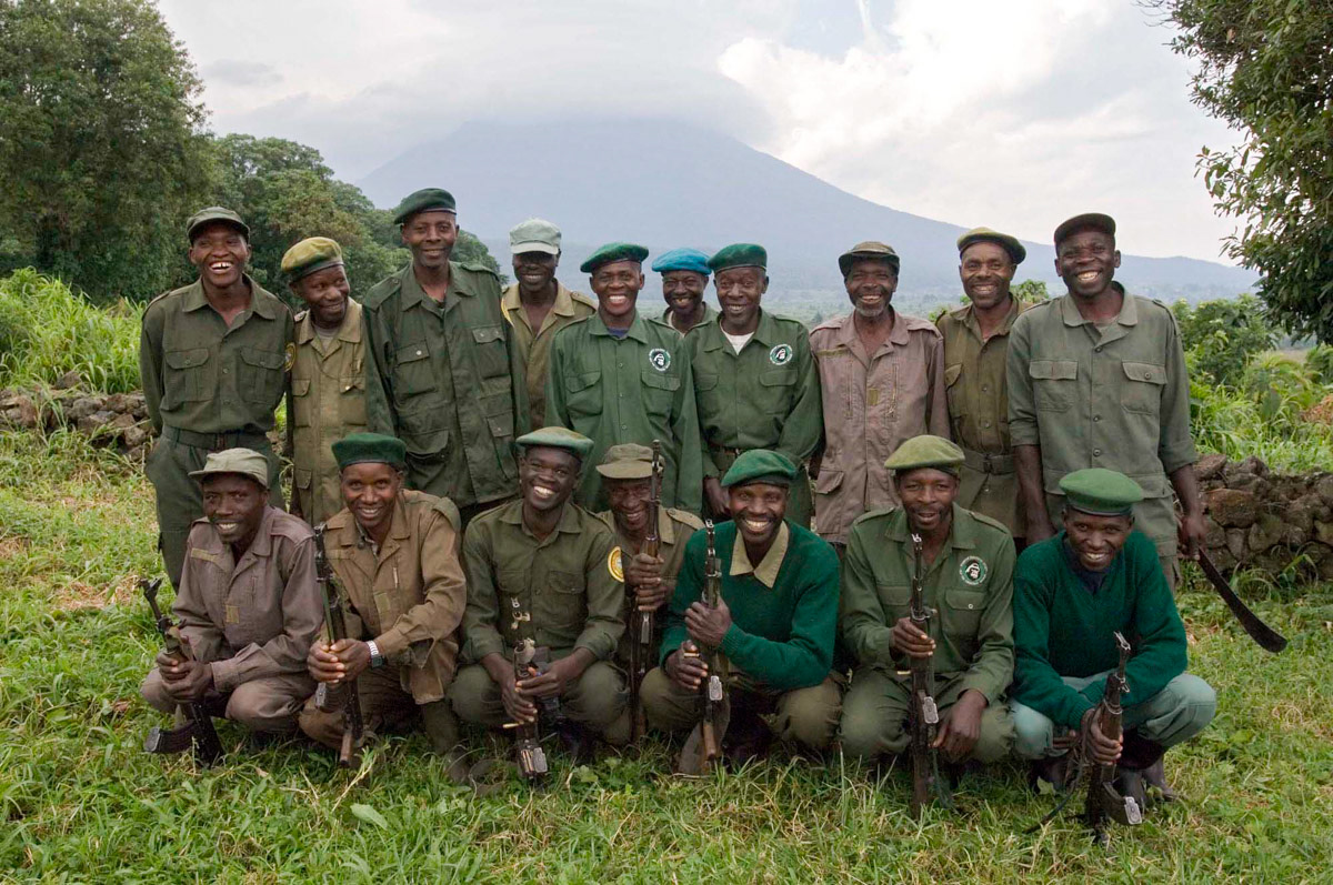 Once again the rangers, 680 in total, who work for the Congolese wildlife authority (ICCN), were forced to reduce their patrols and some to flee. They risk their lives to protect the gorillas, and other animals in the park, despite small and irregular wages. Since the start of the war in 1996 over 120 rangers have been killed by rebels while on duty.