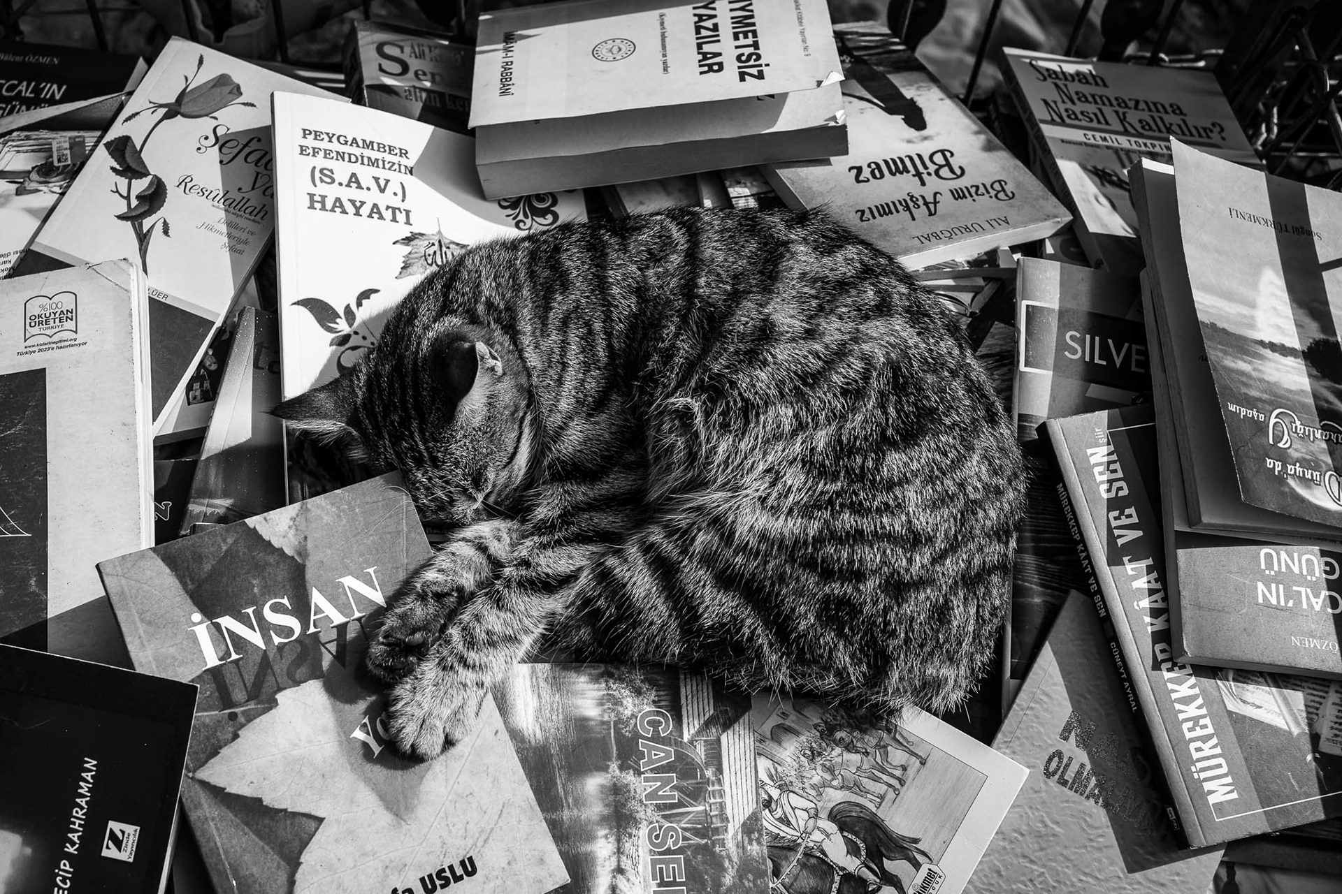 Tired From Reading