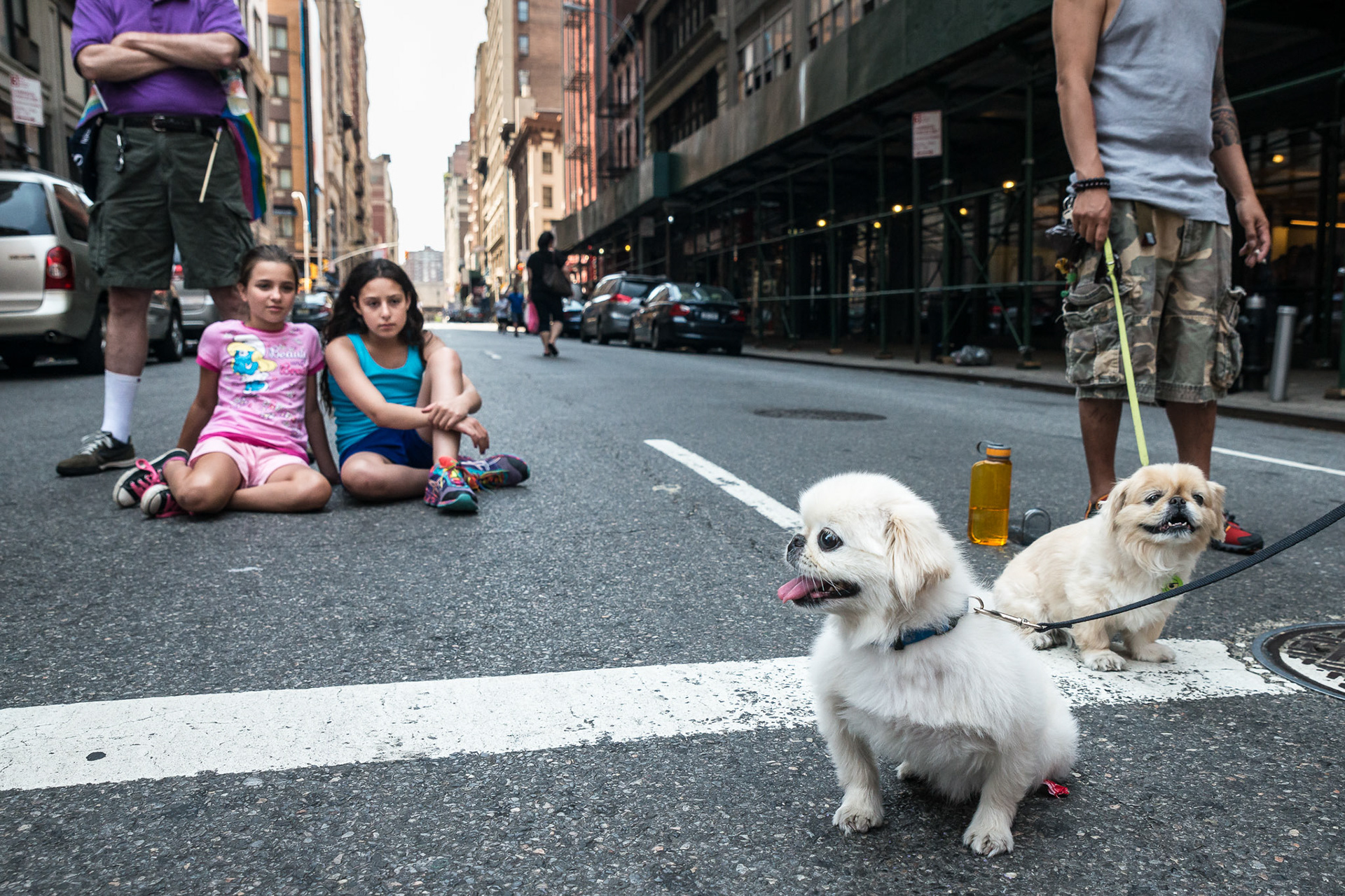 Dogs & Girls