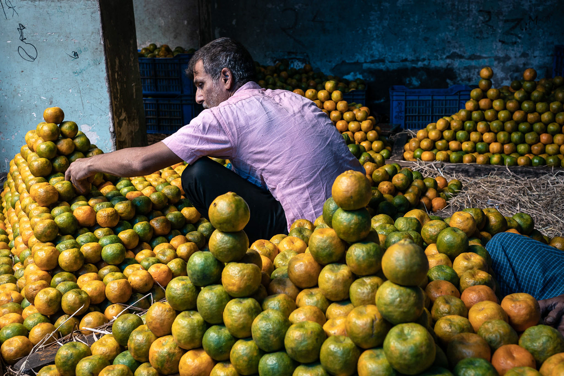 Kolkata Oranges