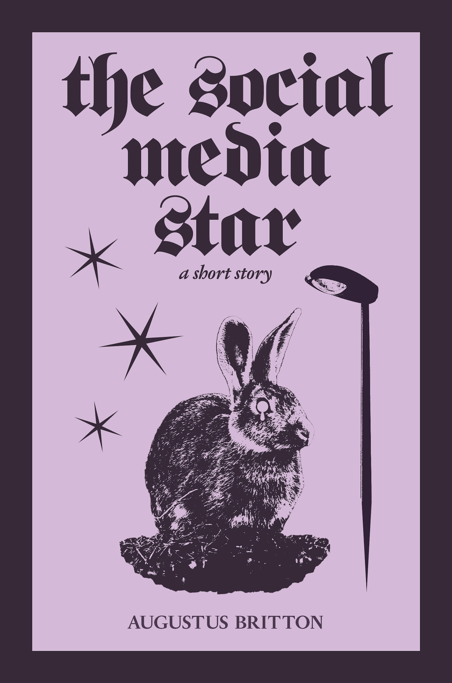 'THE SOCIAL MEDIA STAR' - COVER