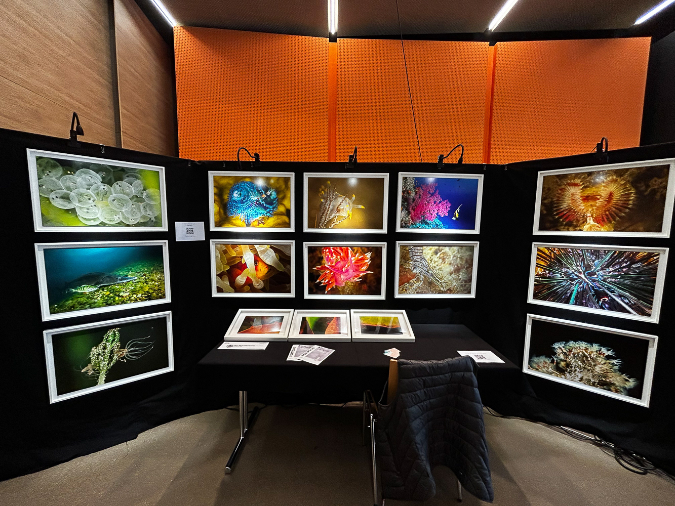 Exposition photof'ill 2024