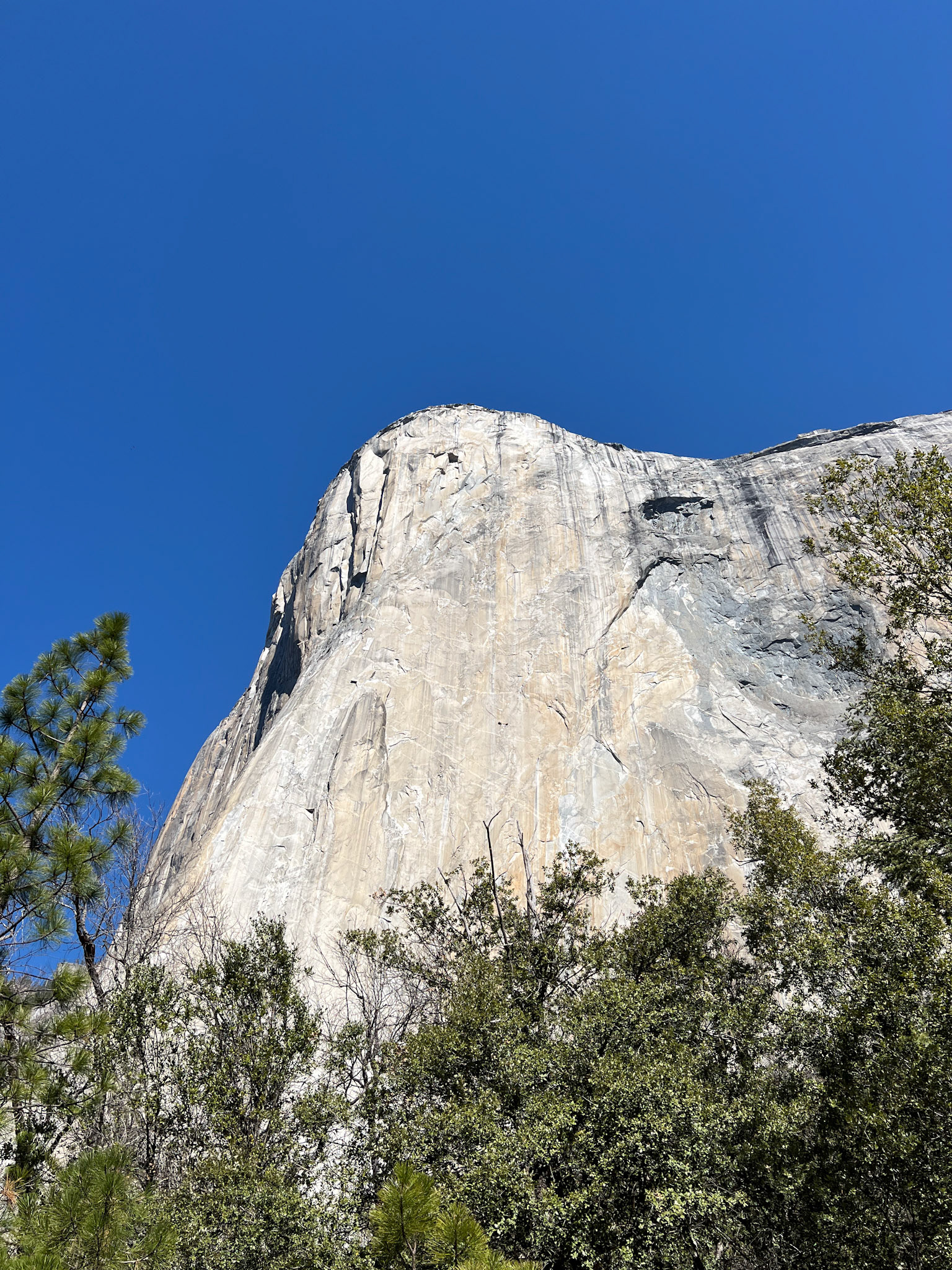 Can you spot the climbers?