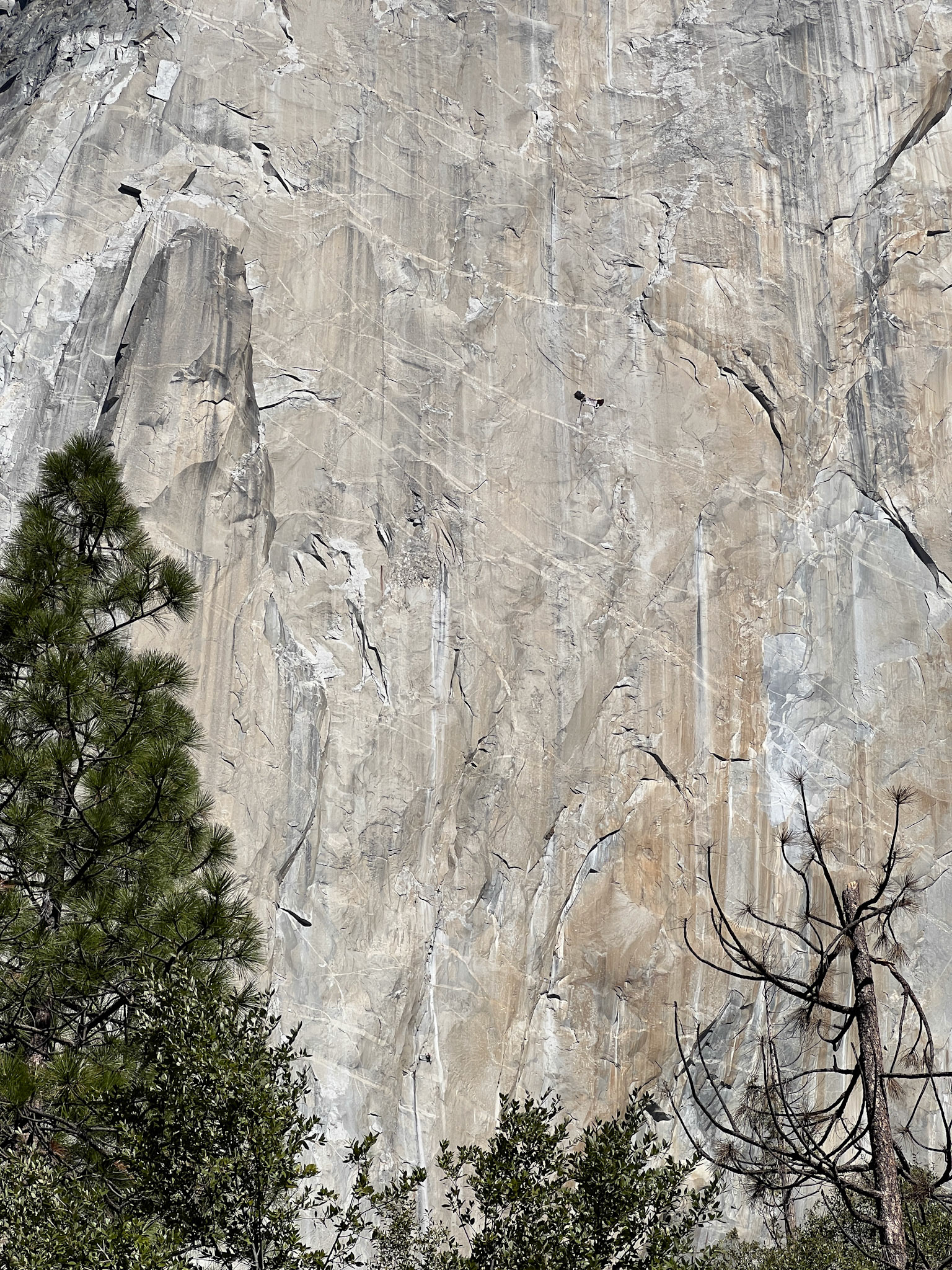 Can you find the climbers?