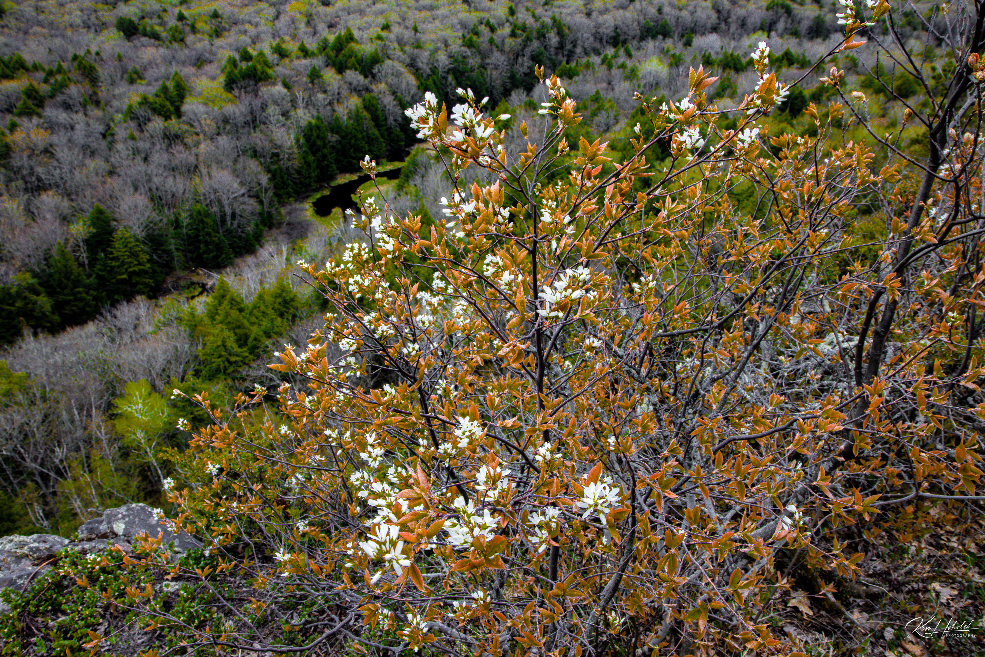 Porcupine Mountain State Park MI