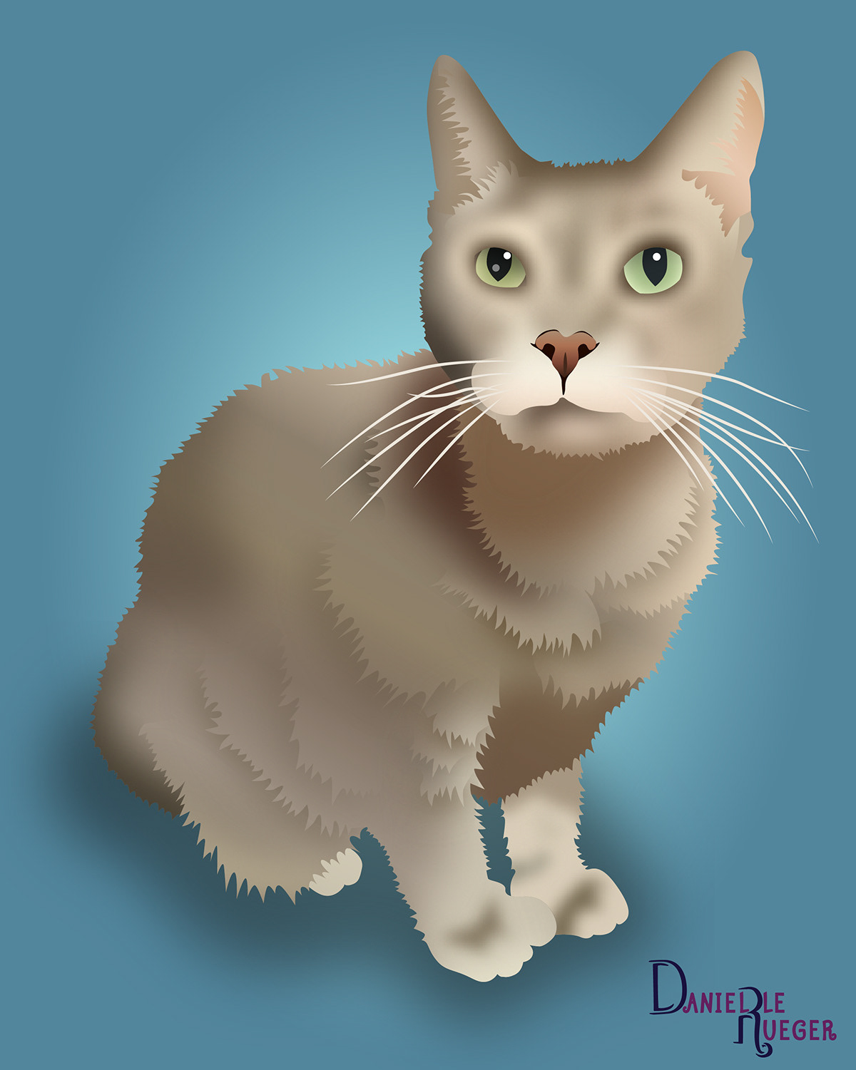 Pet Portrait: Gray Cat