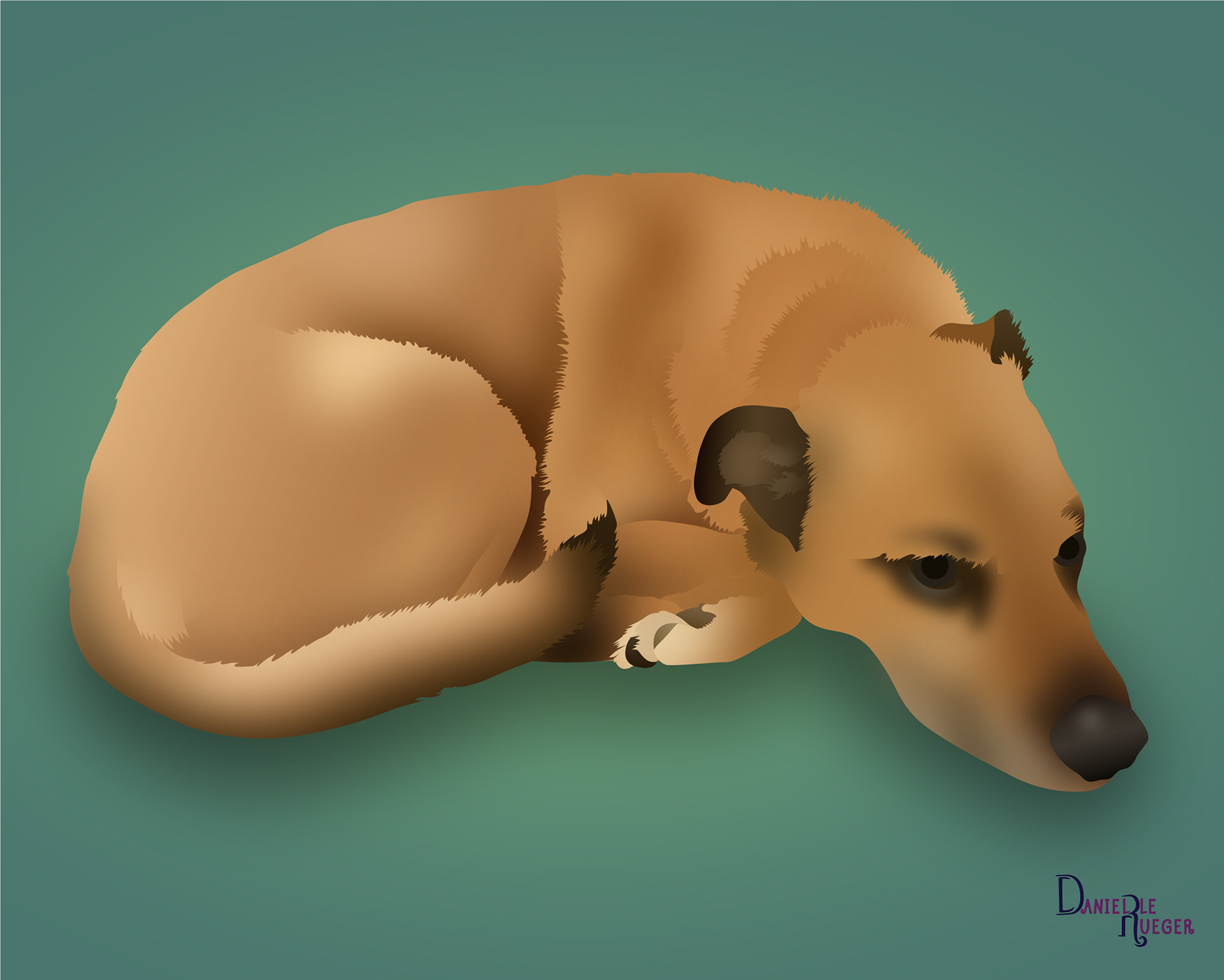 Pet Portrait: Brown Dog