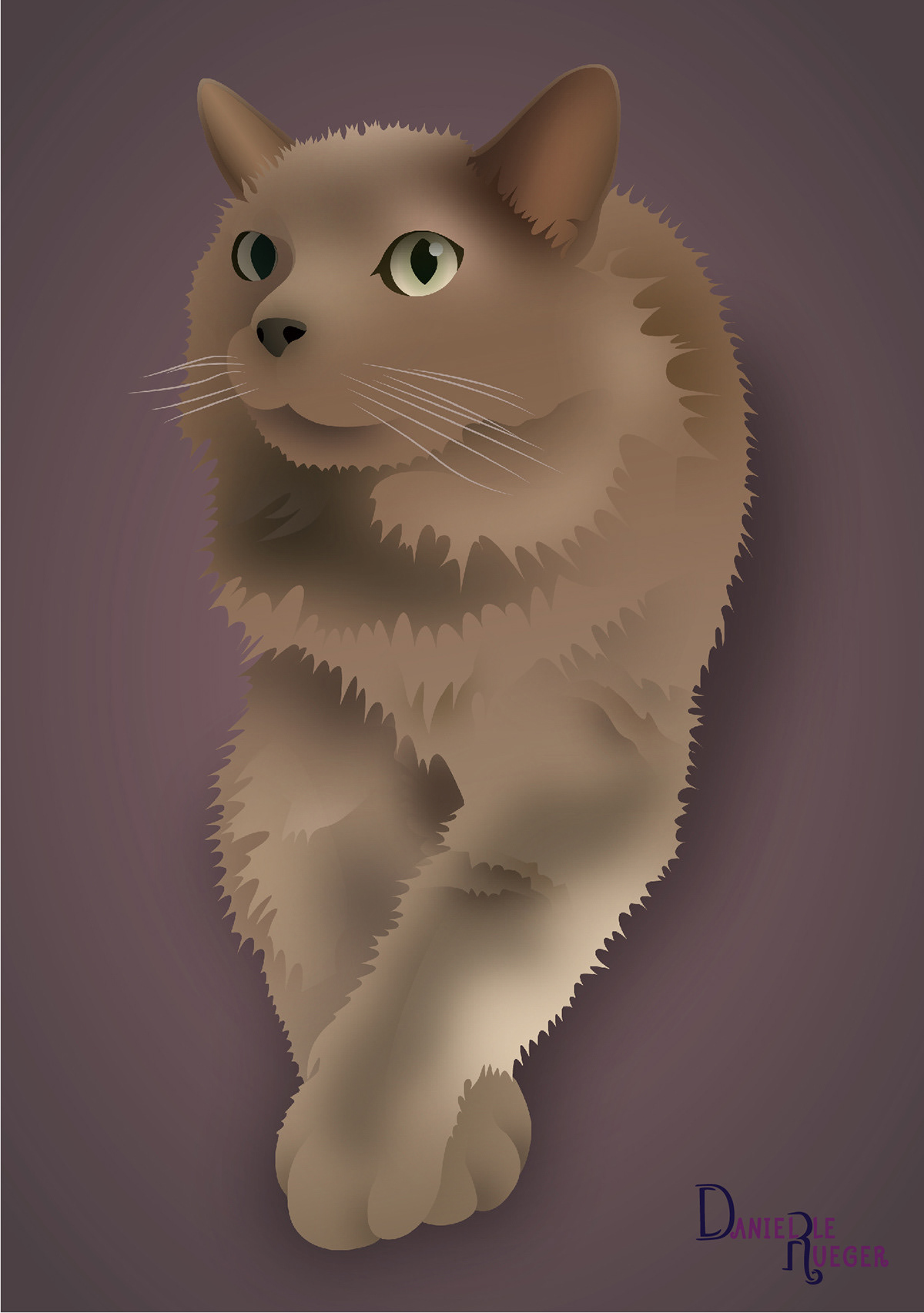 Pet Portrait: Brown cat