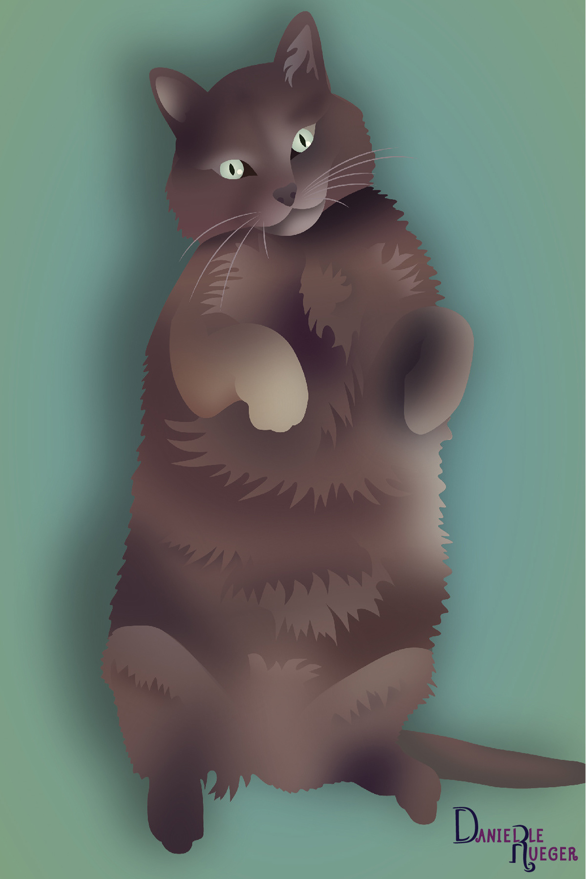 Pet Portrait: Gray Cat
