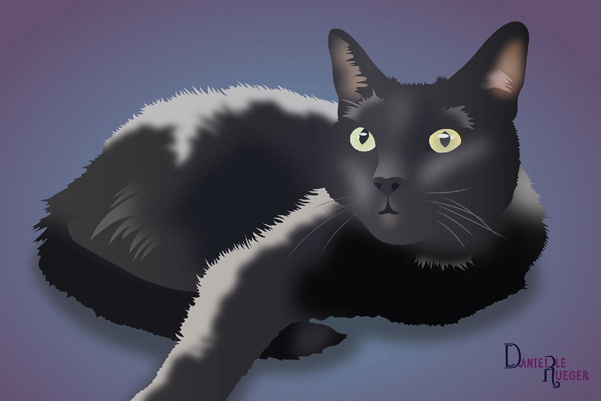 Pet Portrait: Black Cat