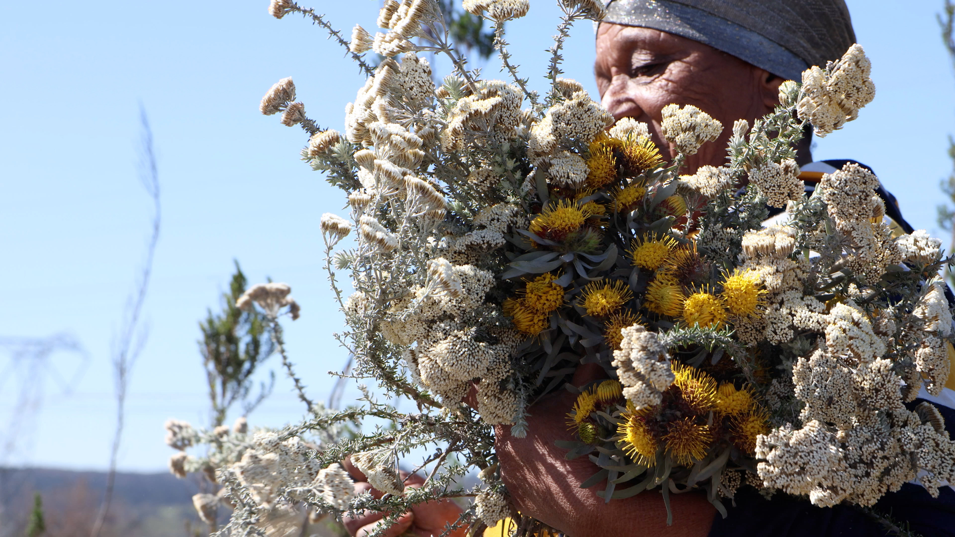 She Carries Herself, documentary film directed by Gregg Smith