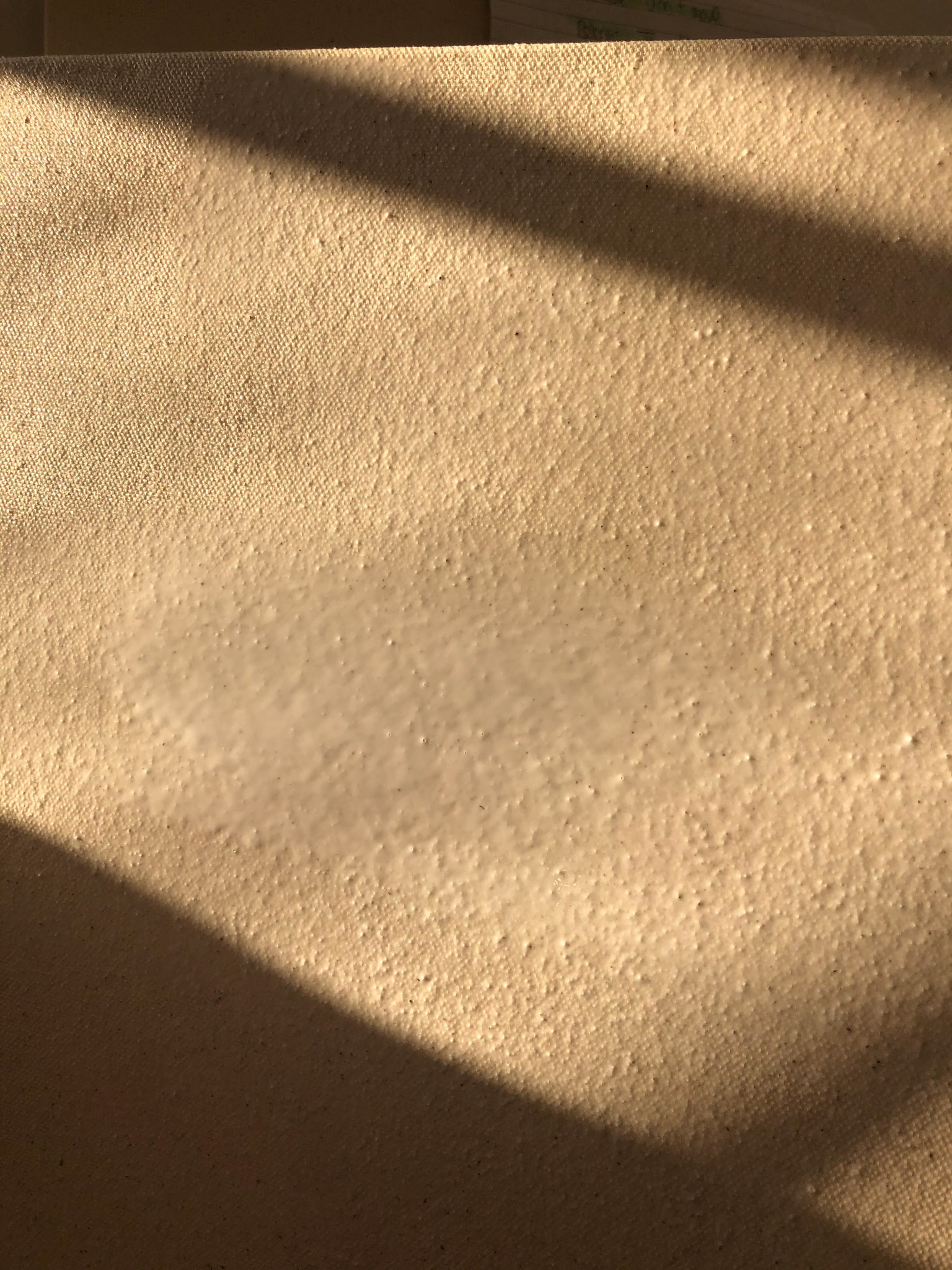 texture of the canvas before sizing.