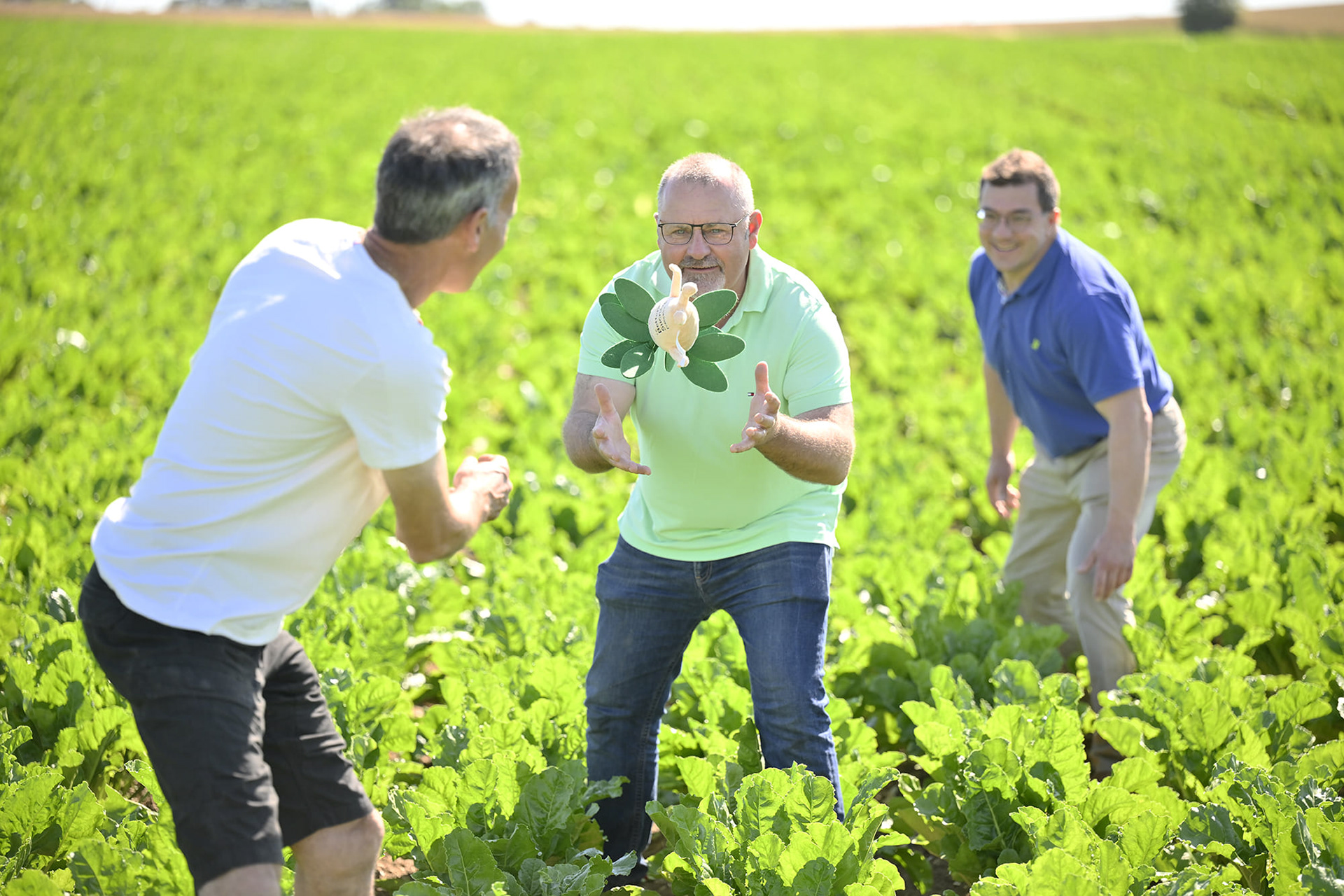 Portrait métier - Agriculteur - Betteravier - Sucrerie - Nord France