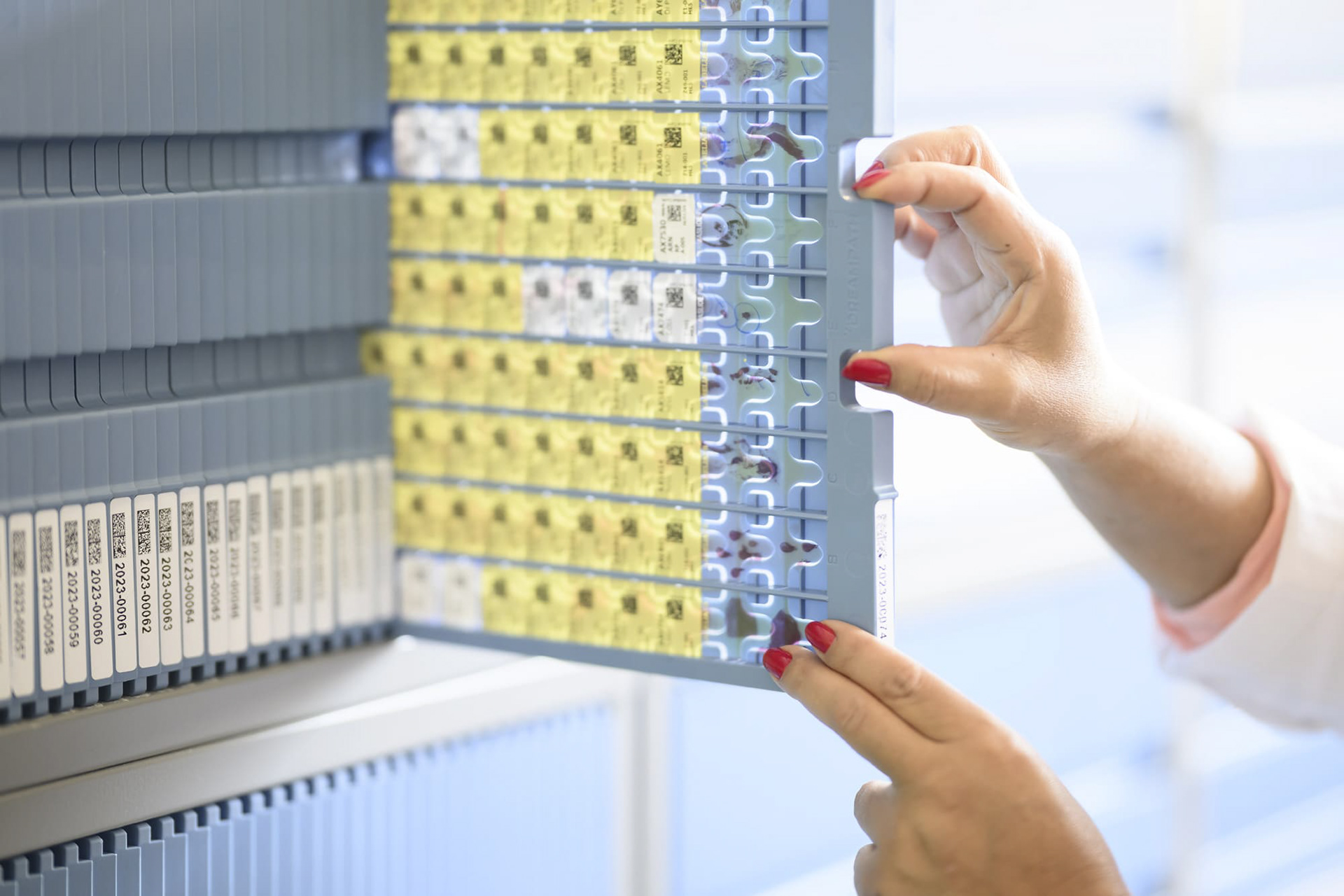 Service anatomopathologie