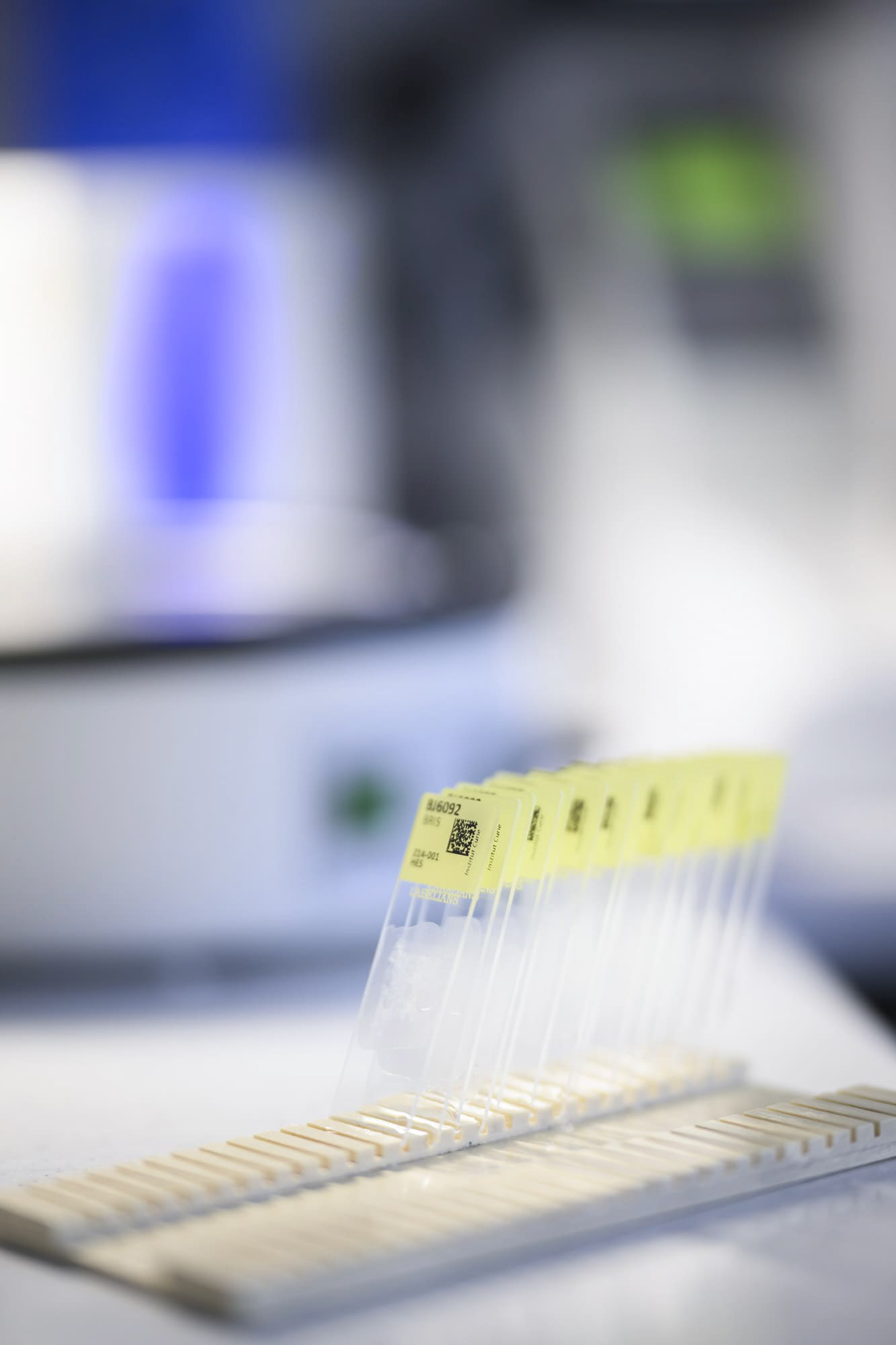 Service anatomopathologie