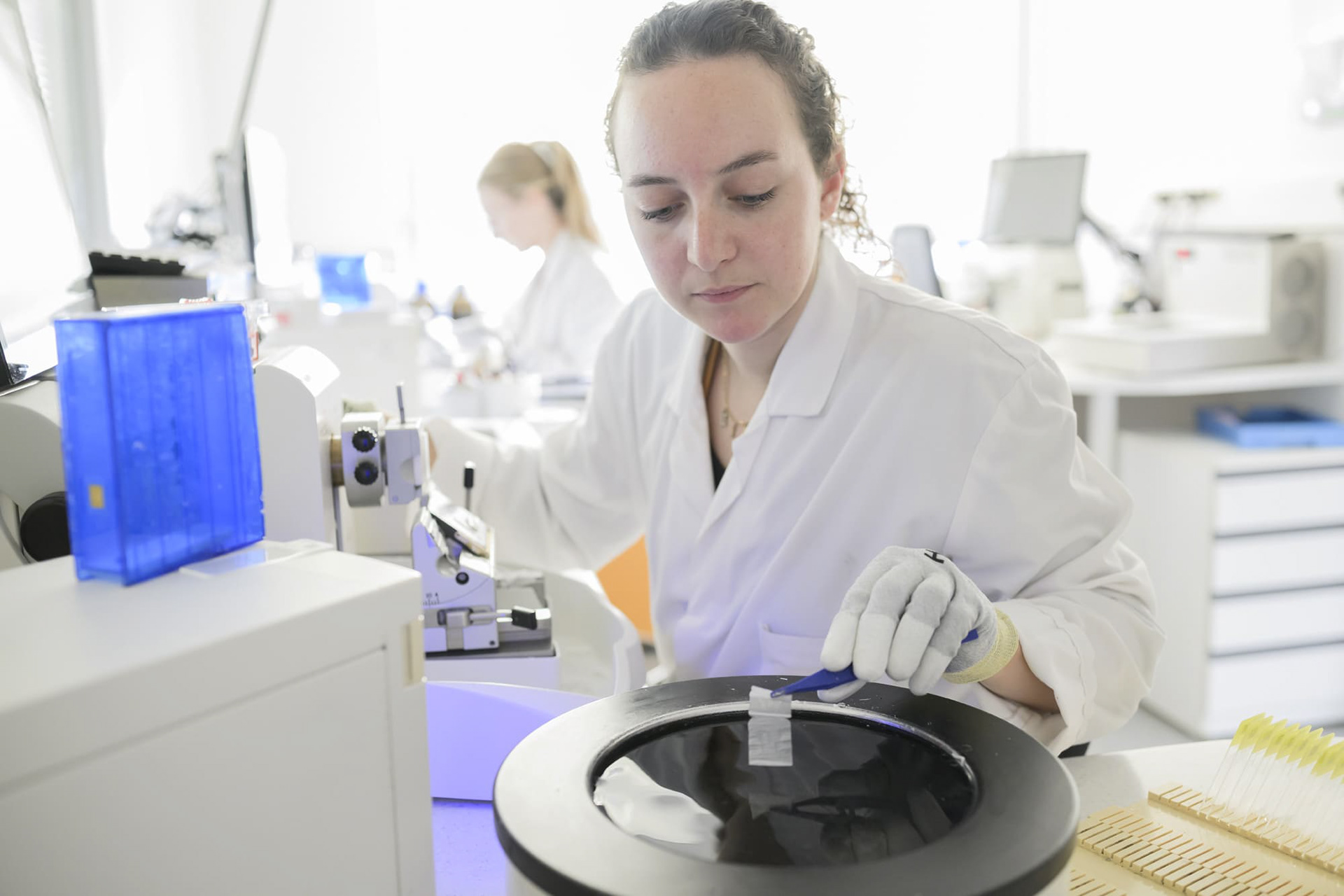 Service anatomopathologie