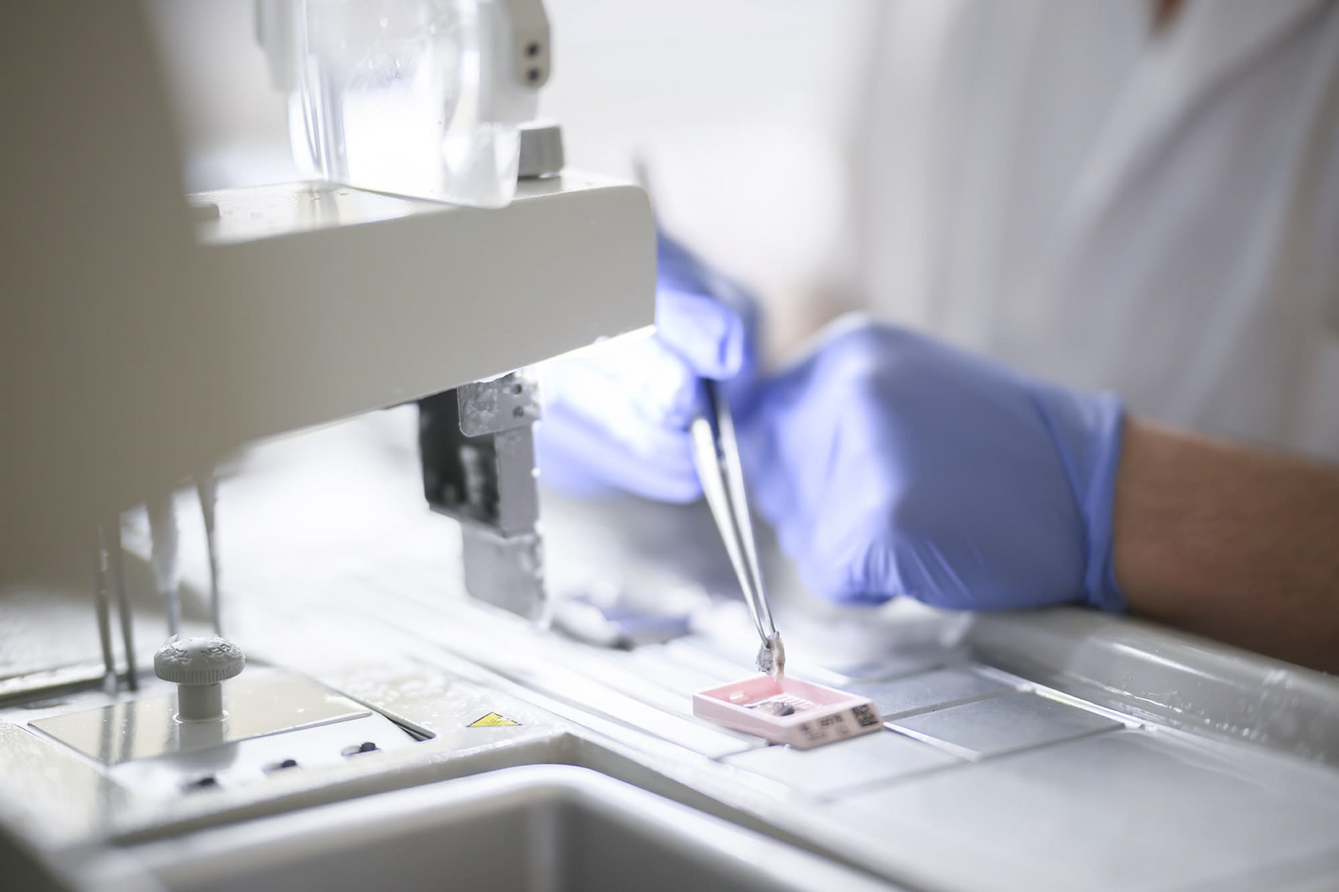 Service anatomopathologie