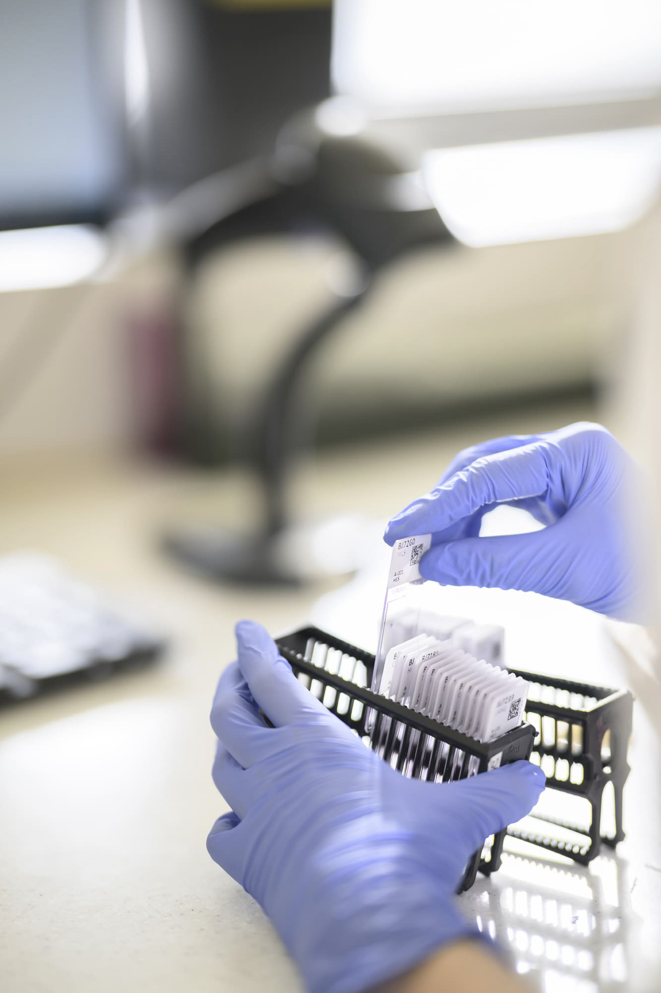 Service anatomopathologie