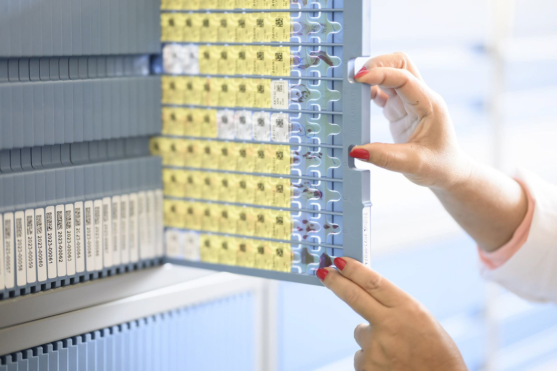 INSTITUT CURIE à Paris