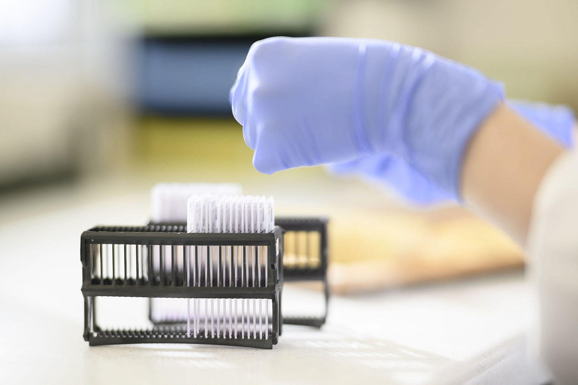 INSTITUT CURIE à Paris