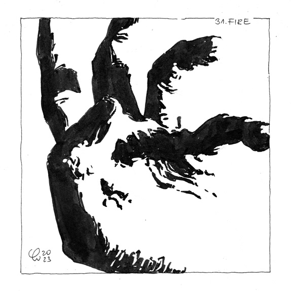 31. Fire