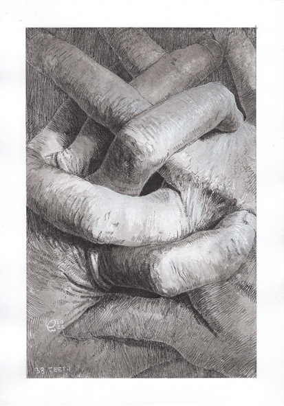 38. Teeth