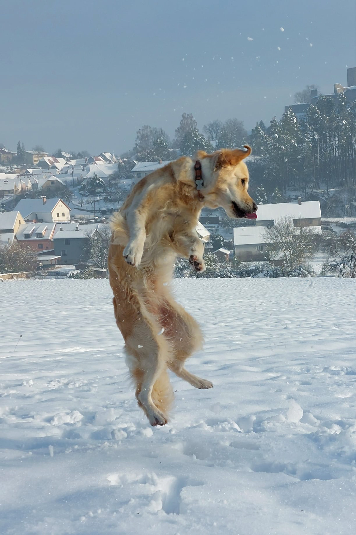 Šumava, 2023.