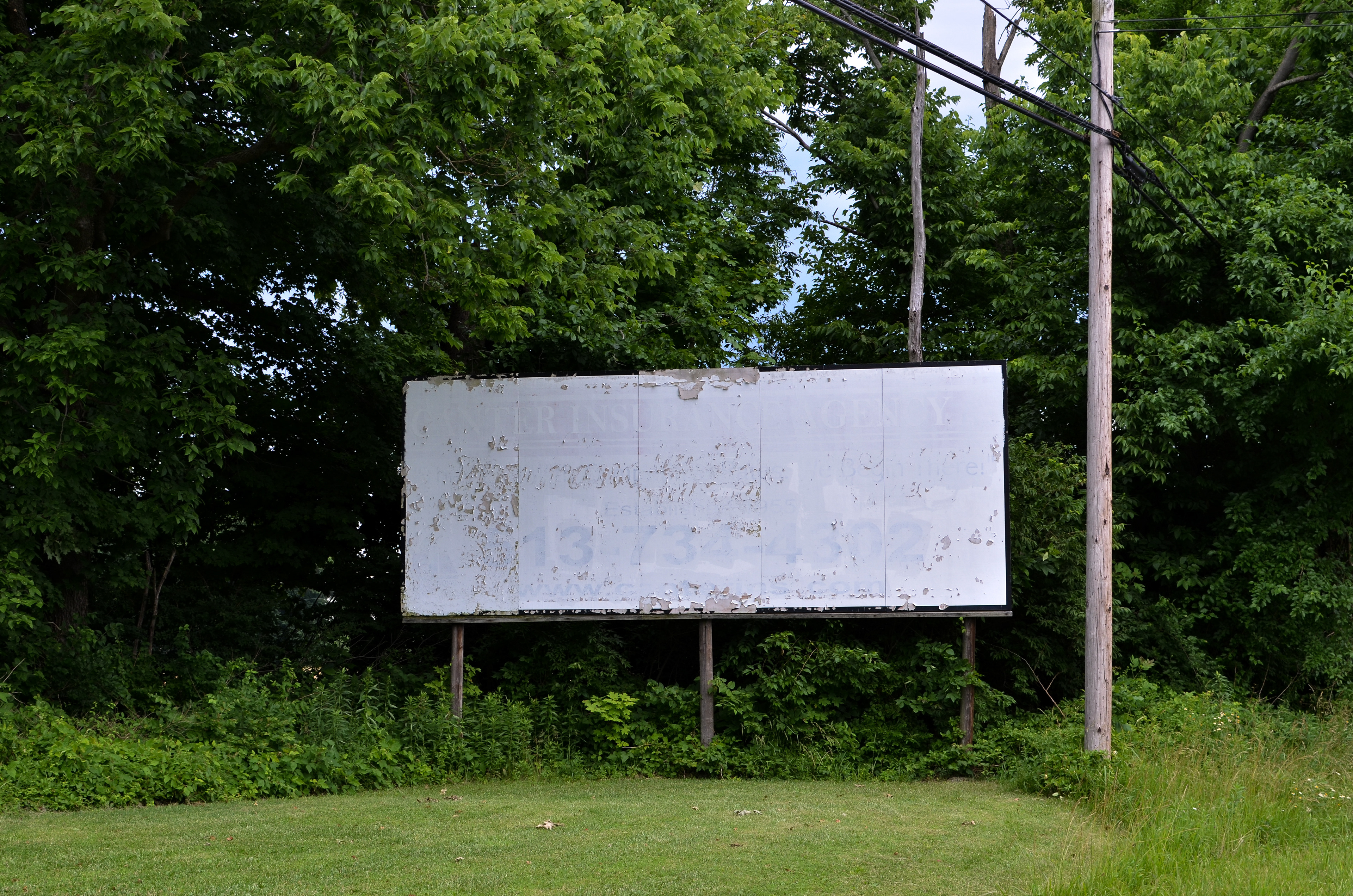 Exhibition – Bird Closet, Schnormeier Gallery, Mount Vernon Nazarene University (2018)