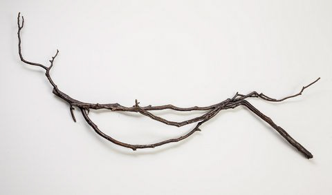 Lazy Bones, 2012