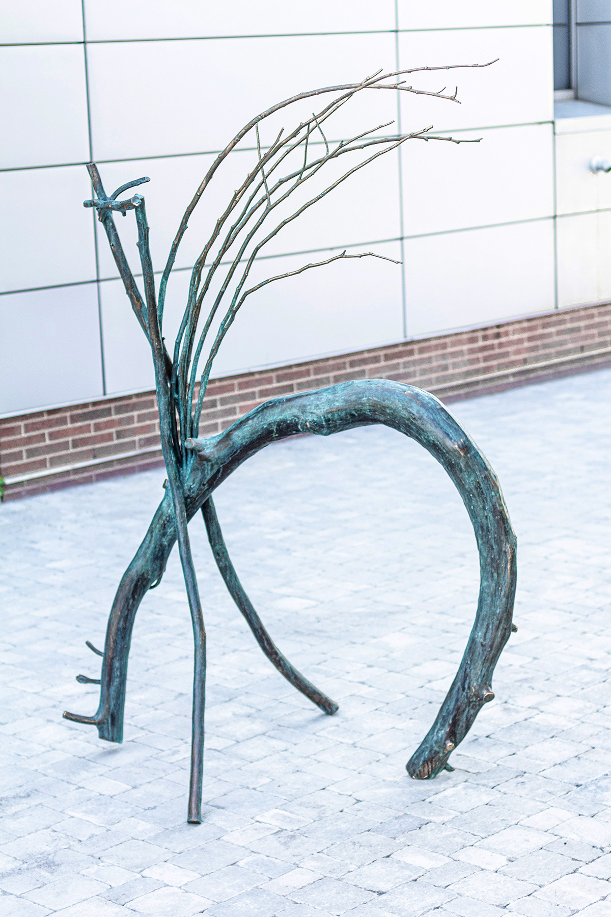 Good Shepherd, 2019