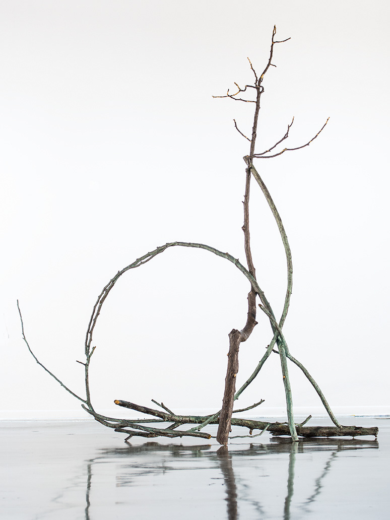 Platte River II, 2015