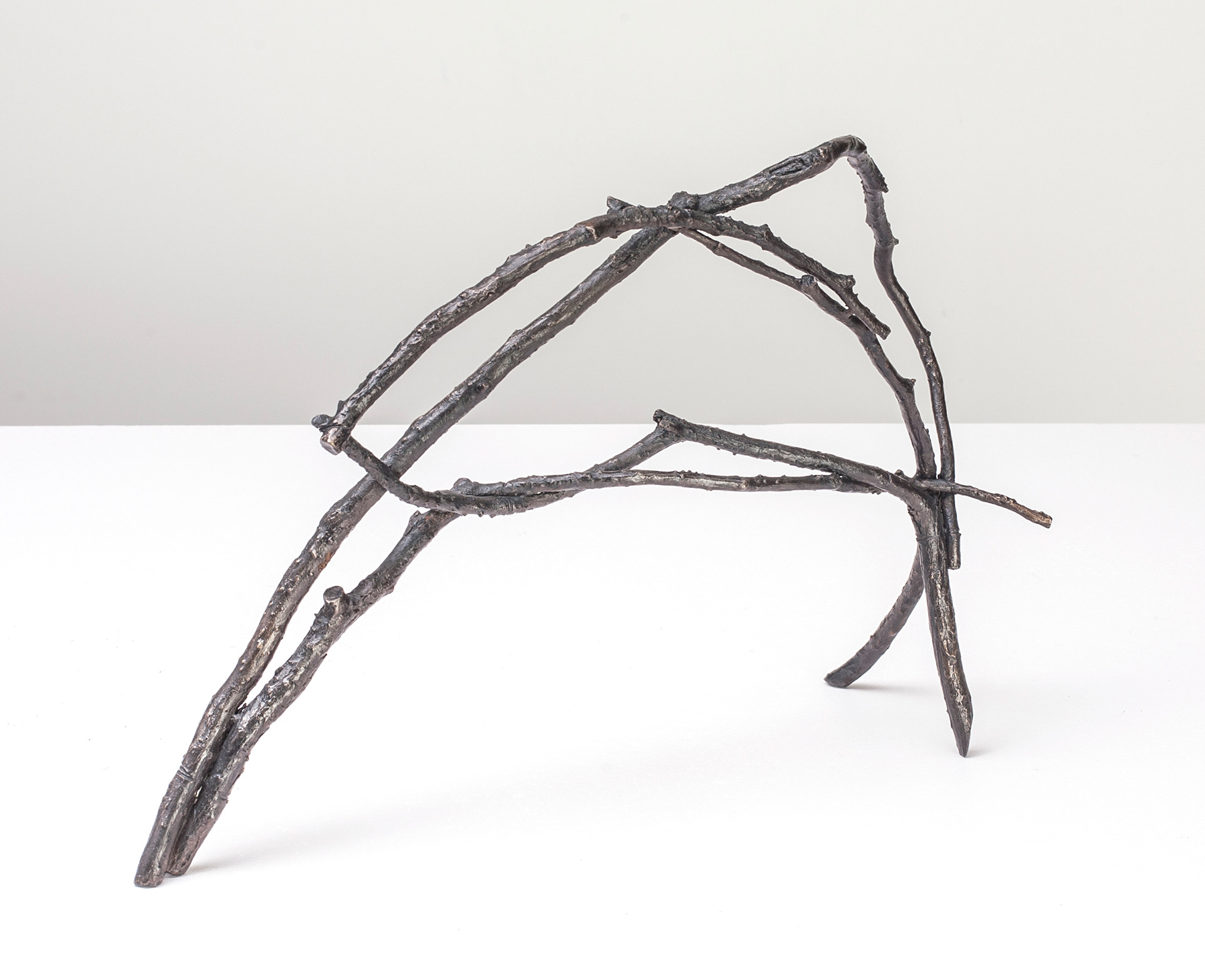 Forest Animal, 2009