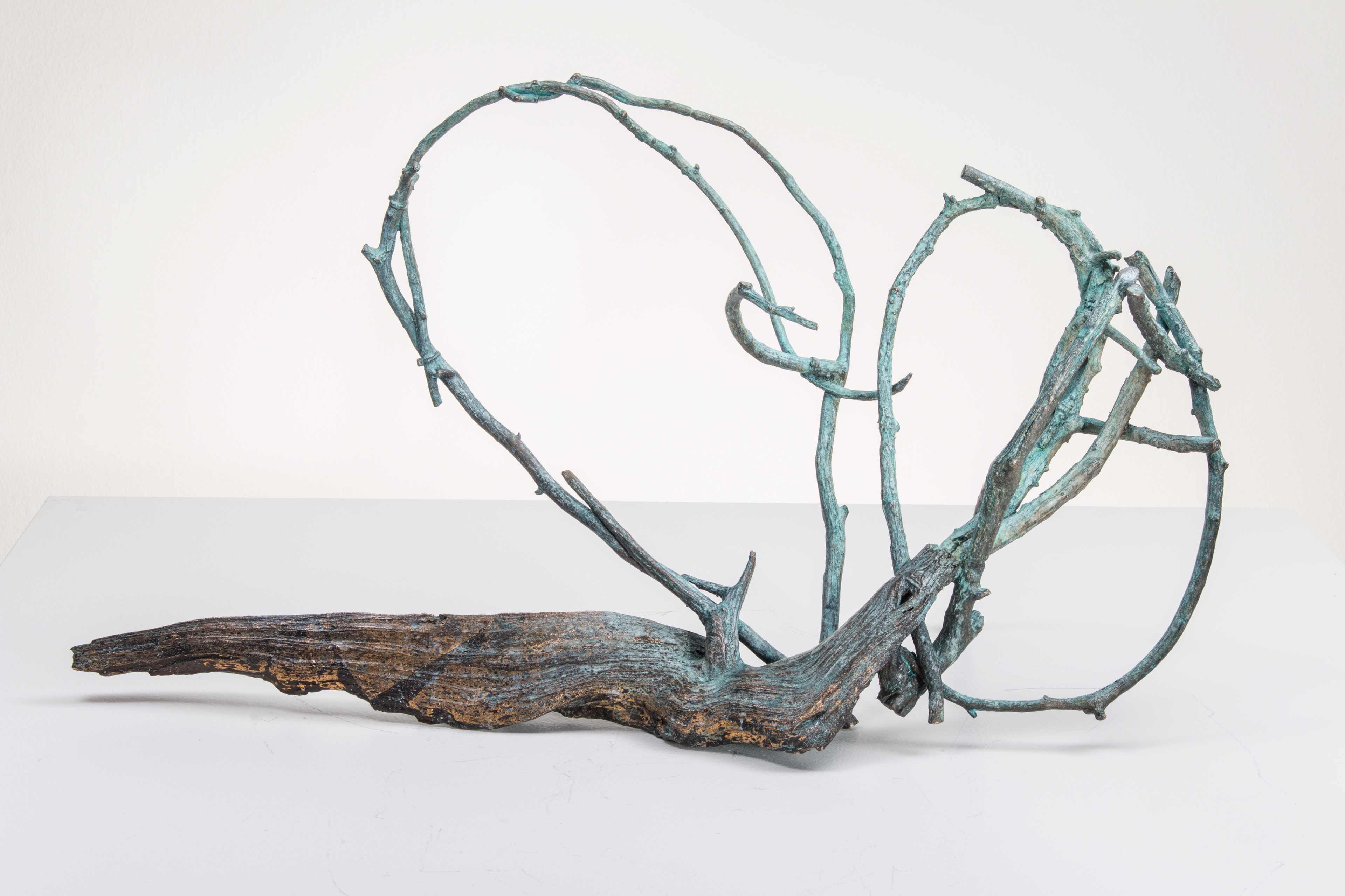 Good Heart River, 2016