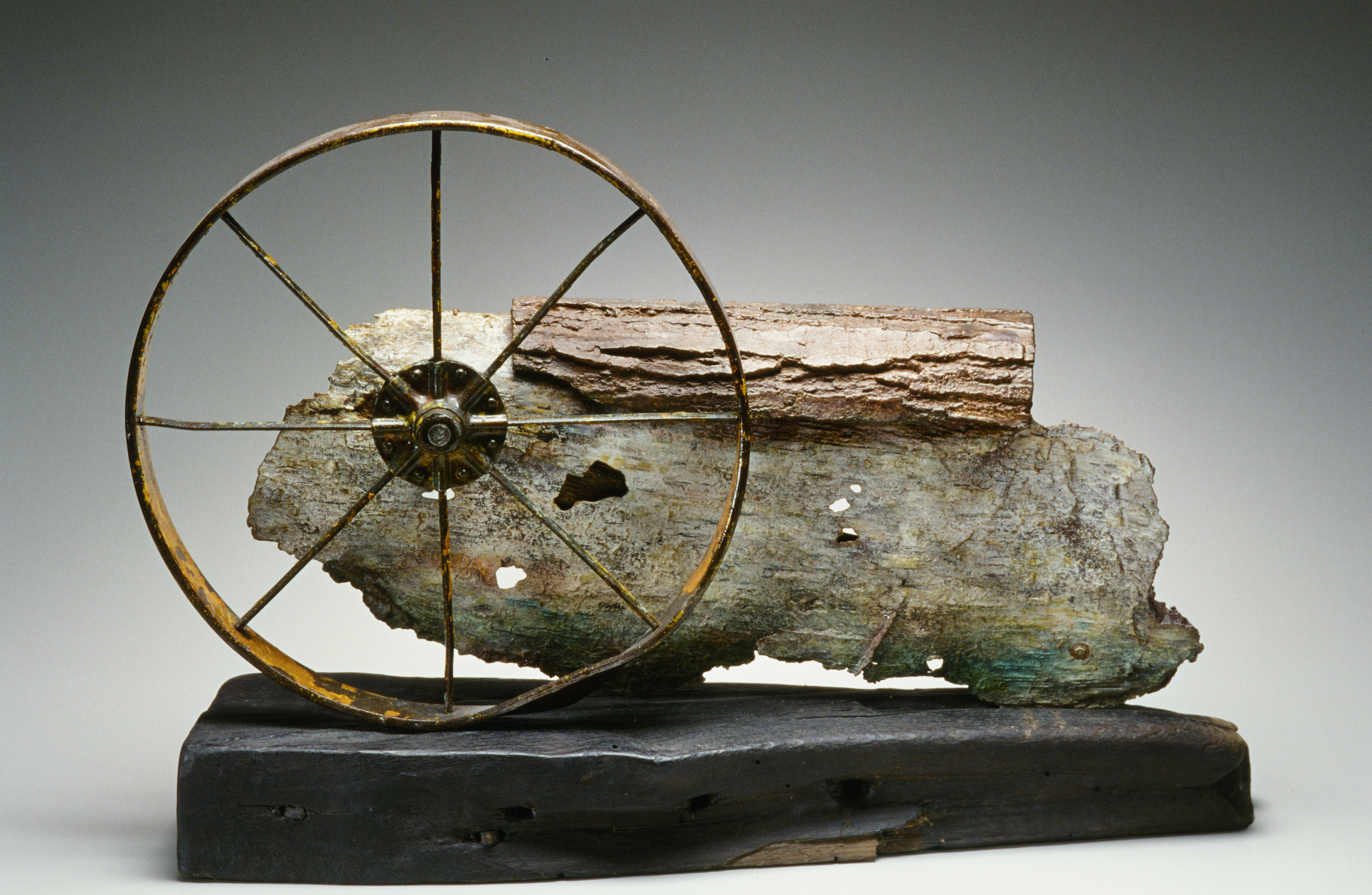 Old Log Slide