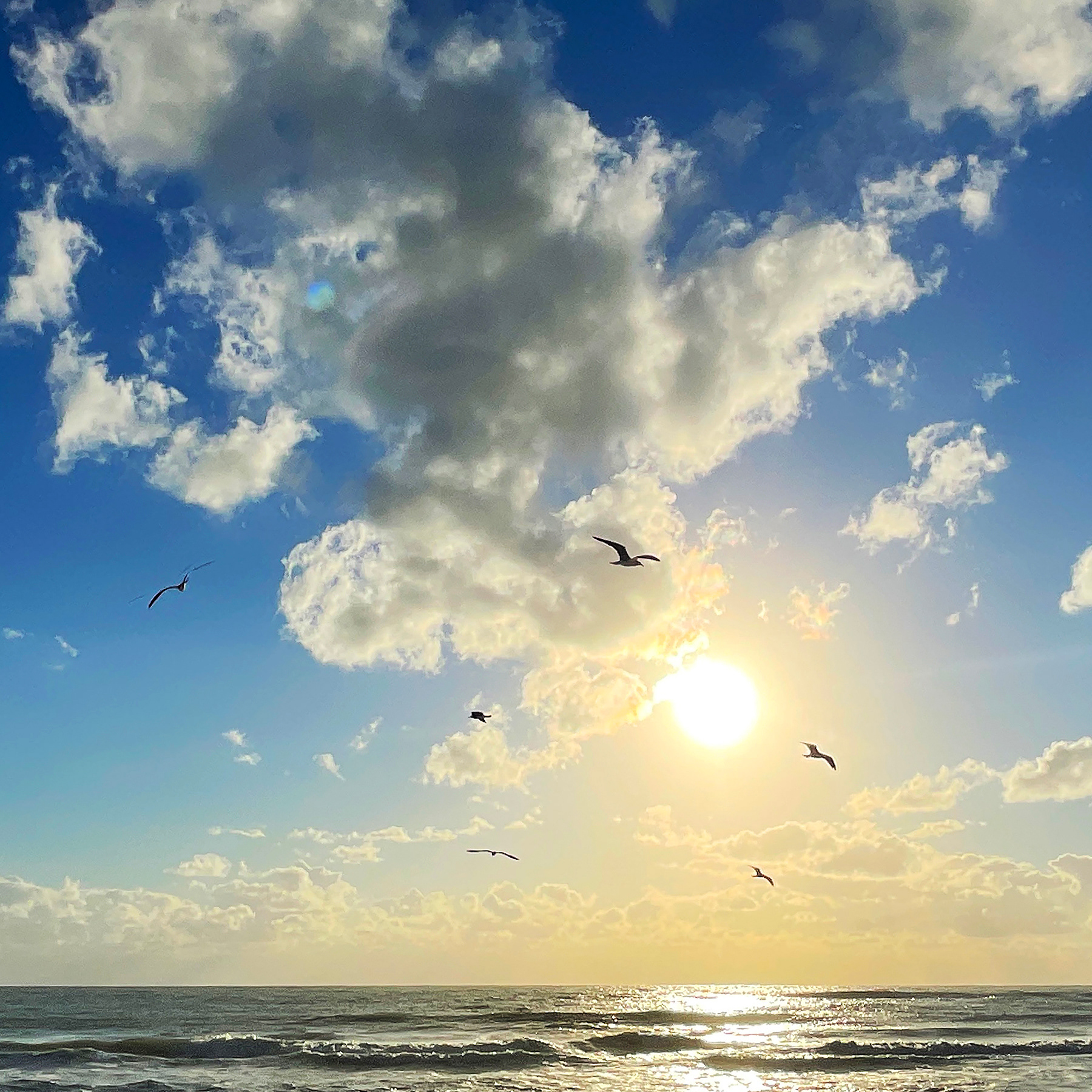 Uplift Sun on Sea, Kathleen Sienna Kelly, Limited Edition DS Print on Aluminum © 2021