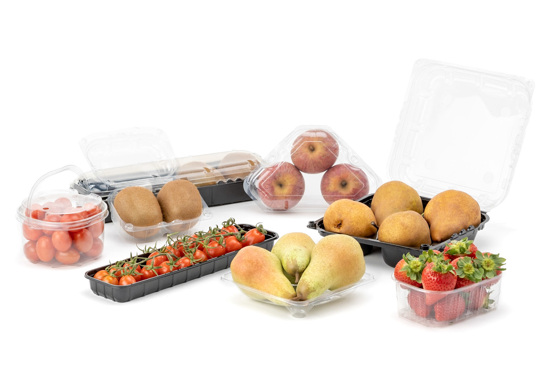 Product Photography for Borsari Imballaggi