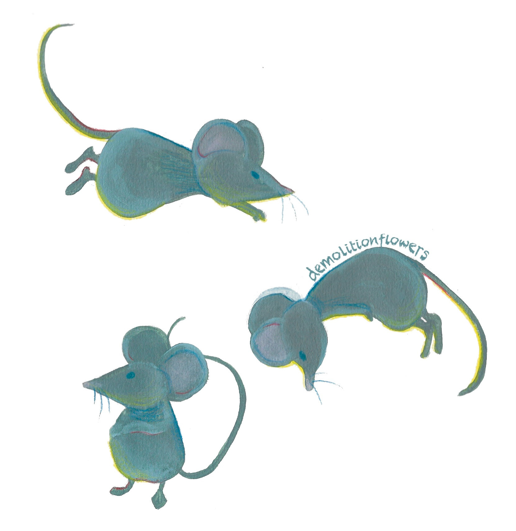 mice - acrylics