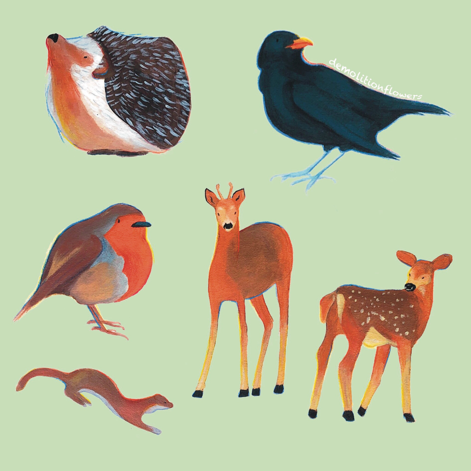 forest animals sheet 1 - acrylics