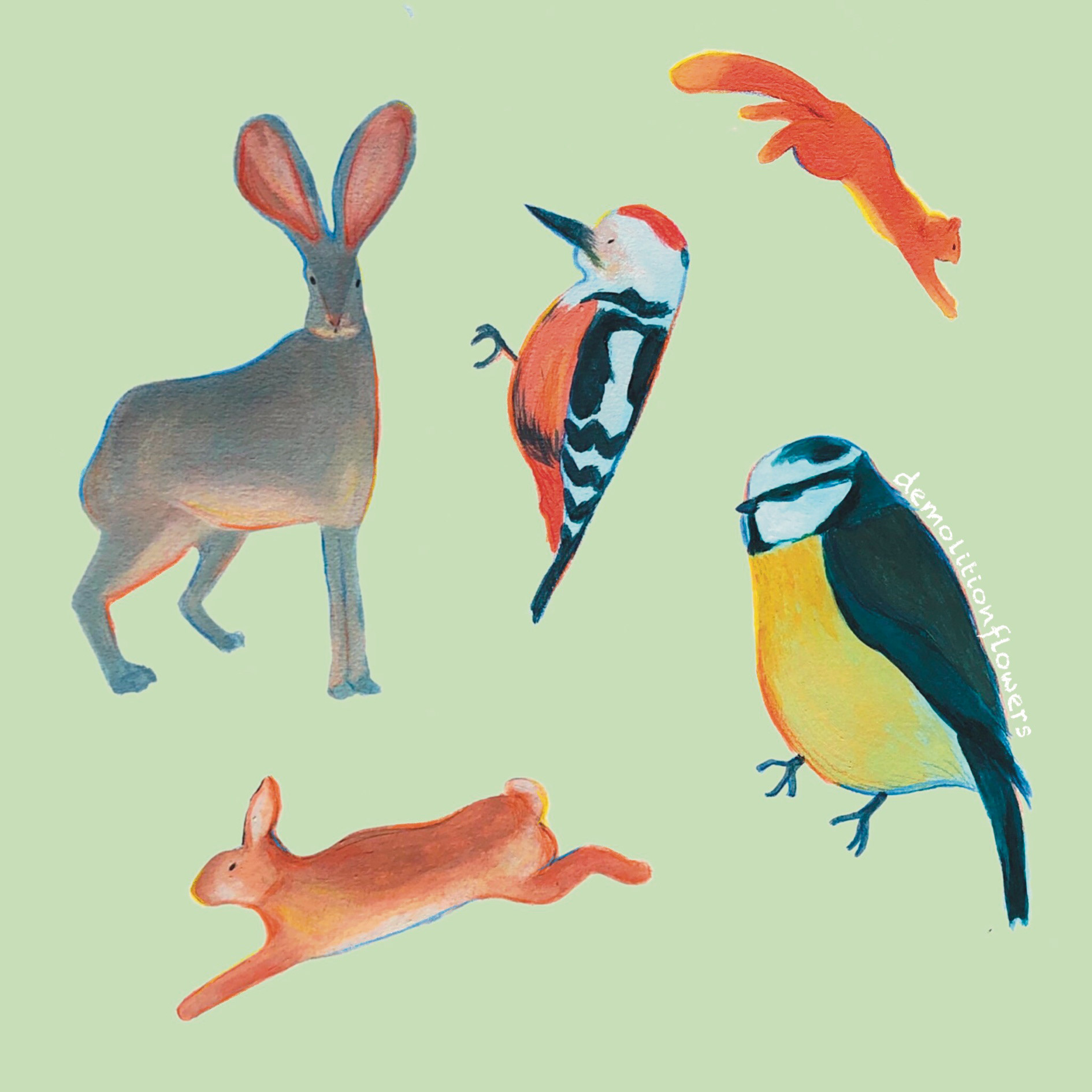 forest animals sheet 2 - acrylics