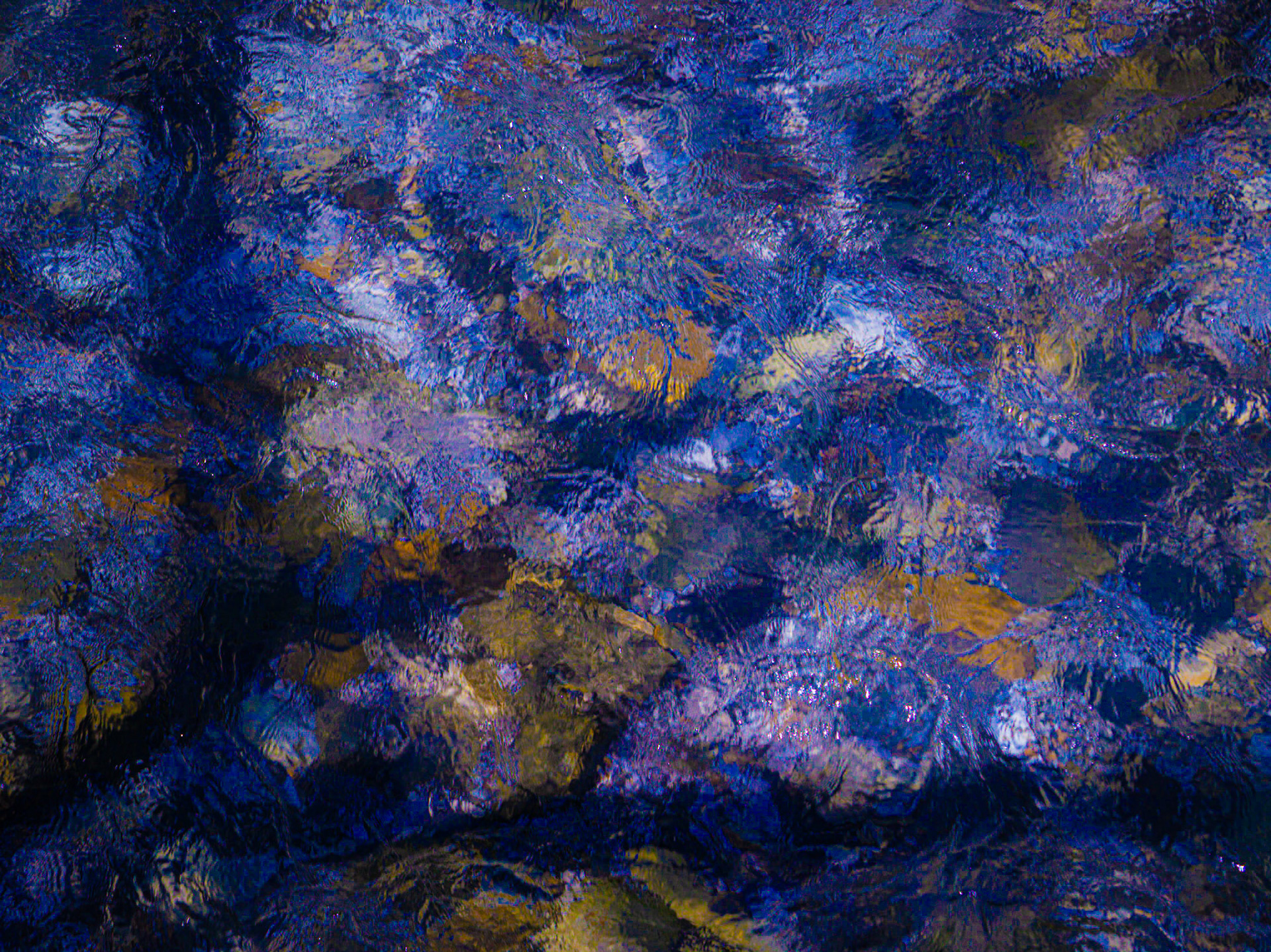 N Canvas - n°1