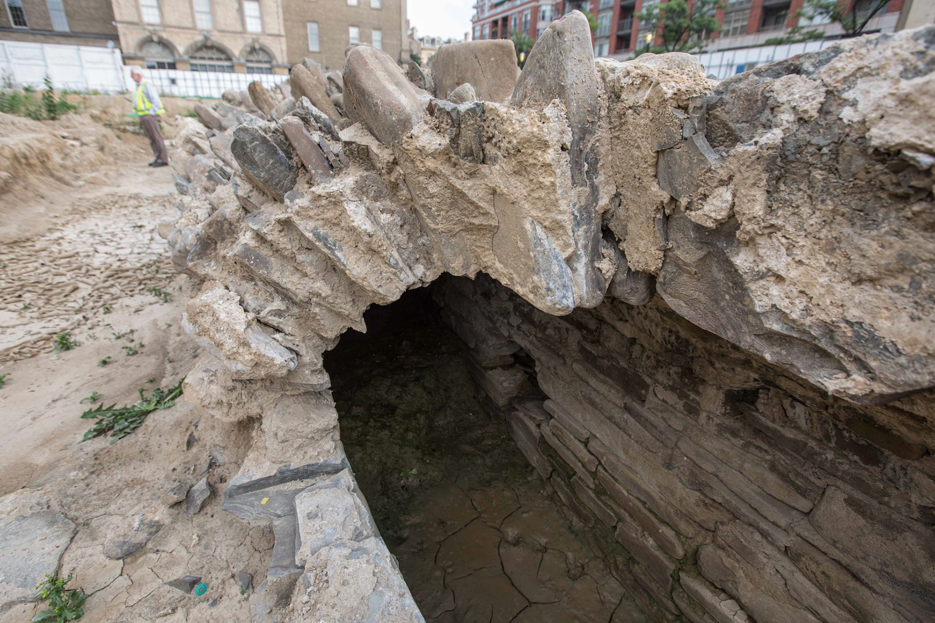 cometothemarket@gmail.com