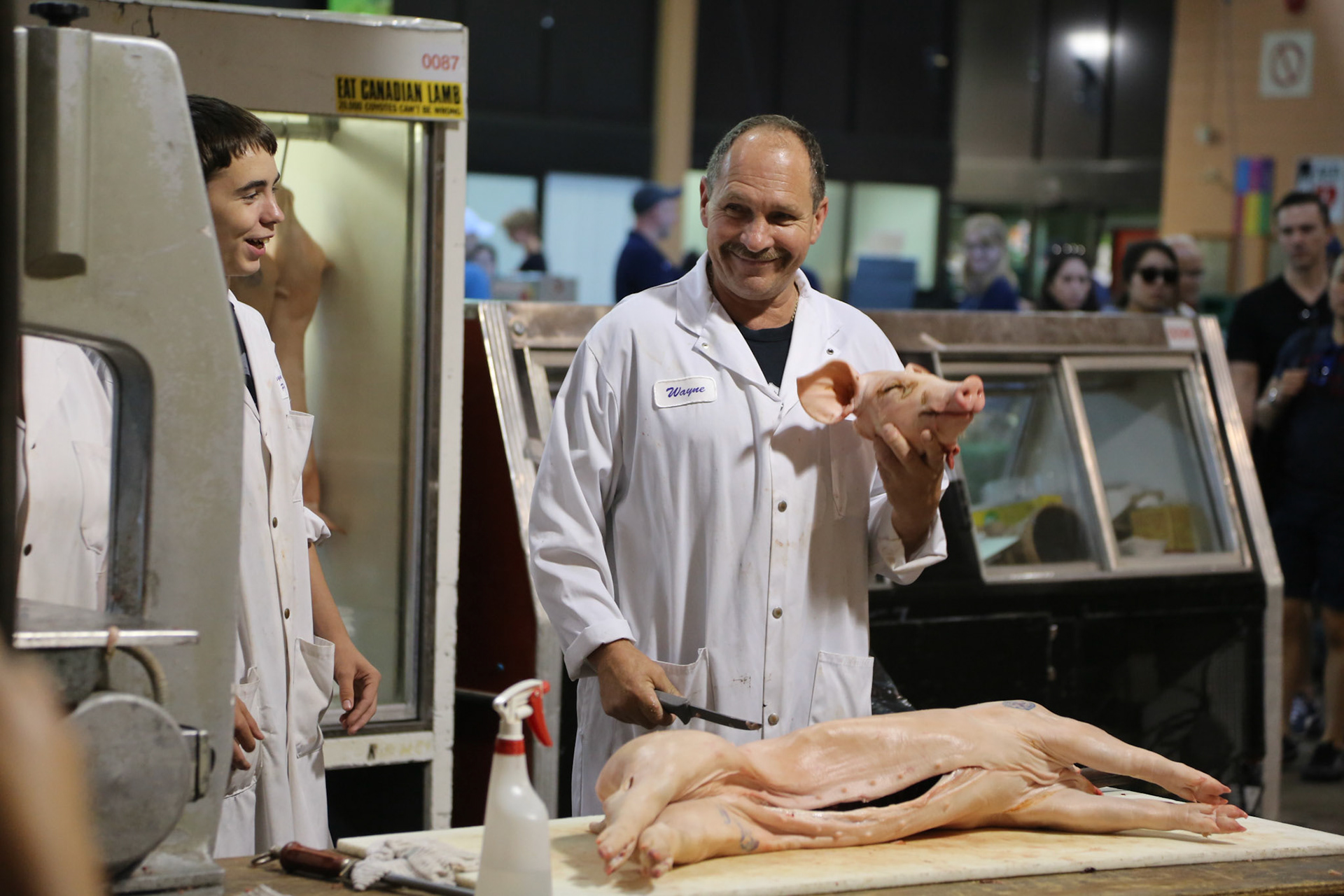 cometothemarket@gmail.com