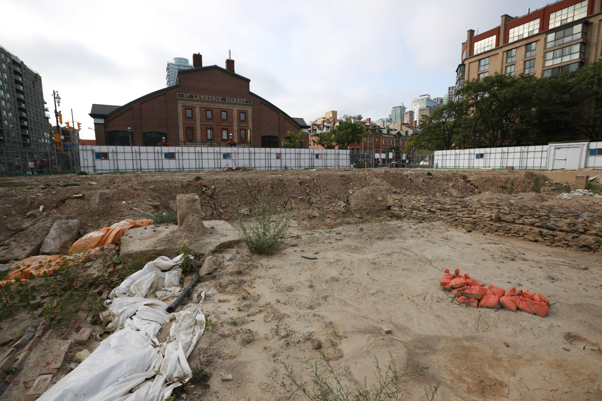 cometothemarket@gmail.com