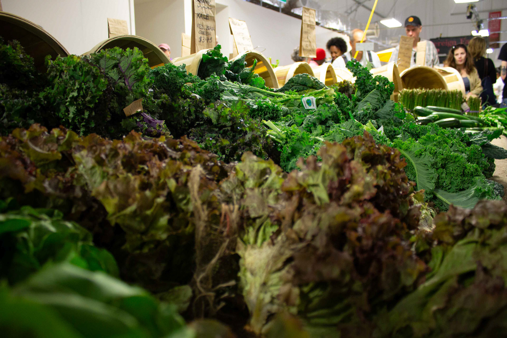 cometothemarket@gmail.com