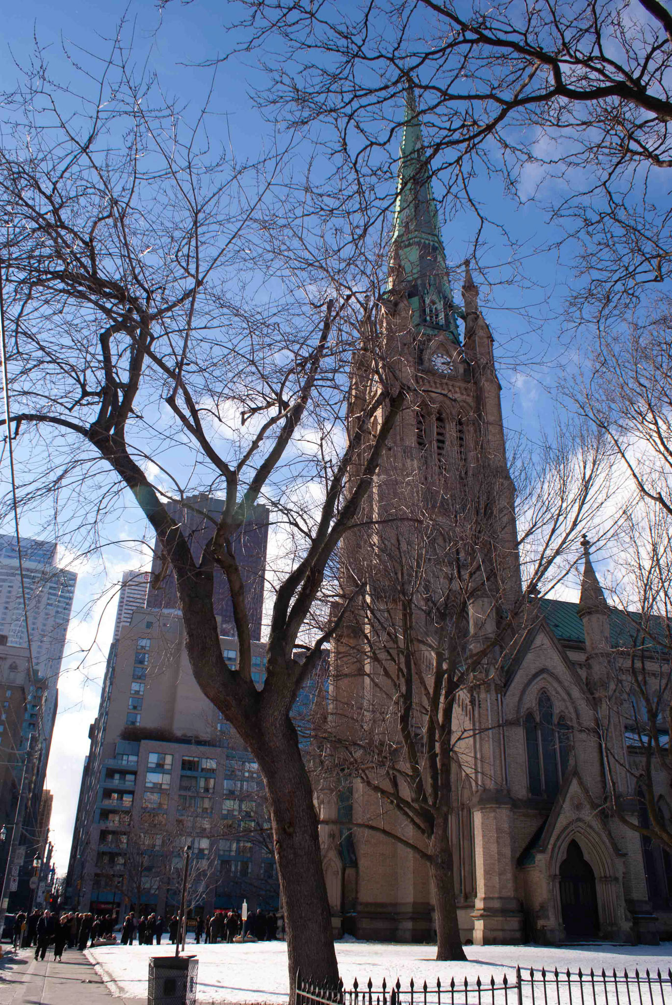 cometothemarket@gmail.com