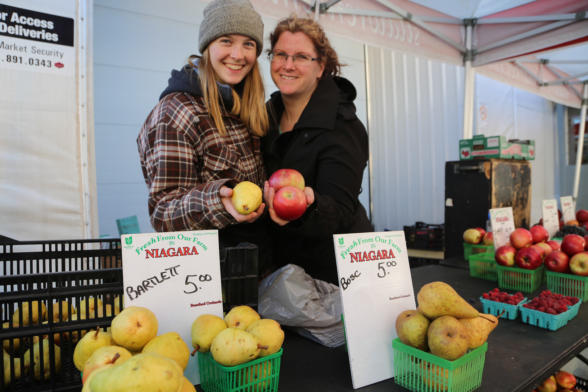 cometothemarket@gmail.com